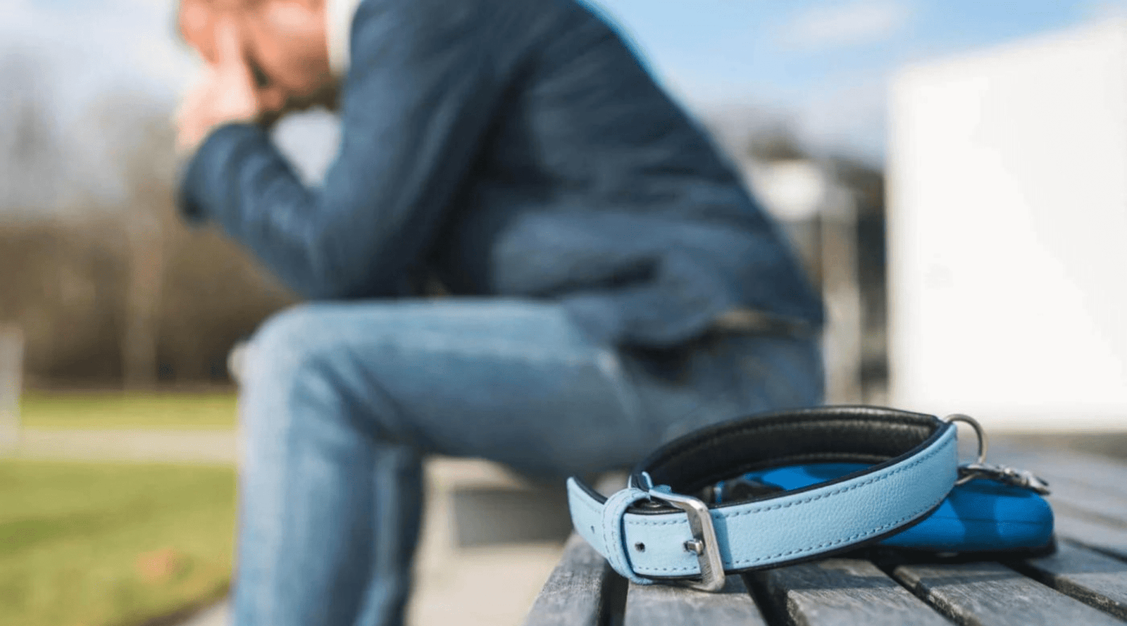 At Home Pet Euthanasia: How It Works, Pros/Cons, & Extra Considerations - LifeSong Milestones