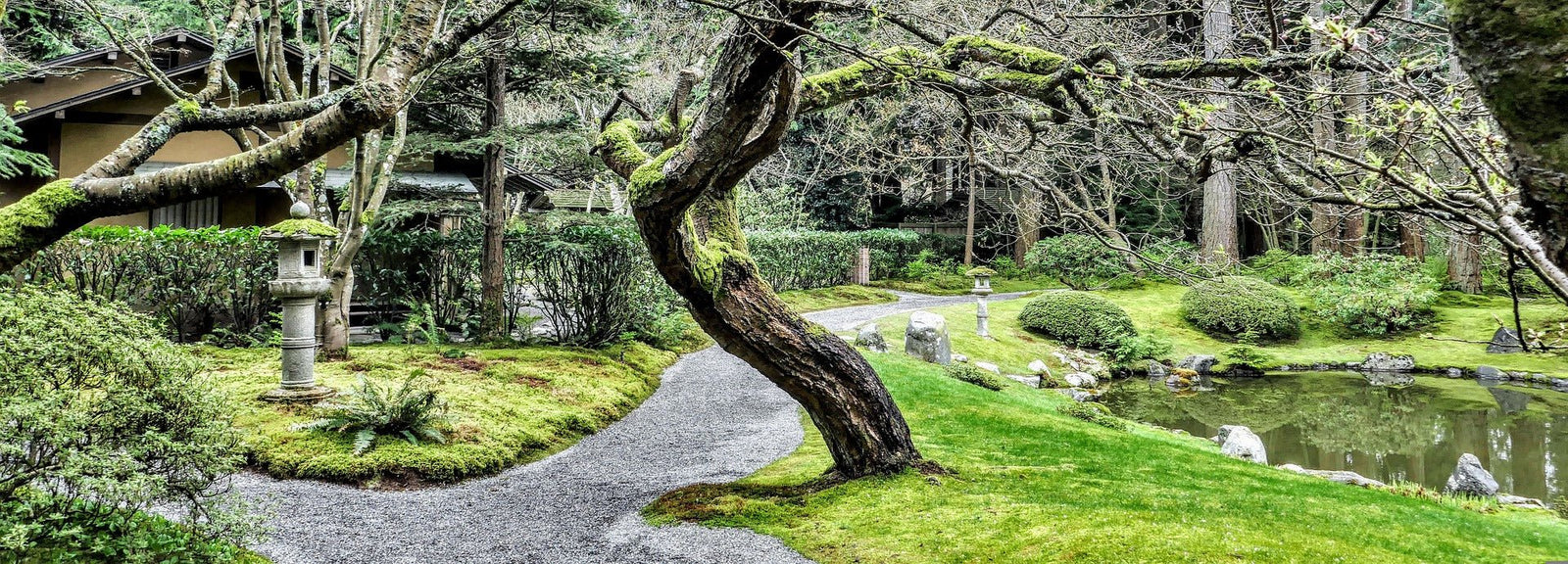 How to Build a Memorial Pet Garden - LifeSong Milestones