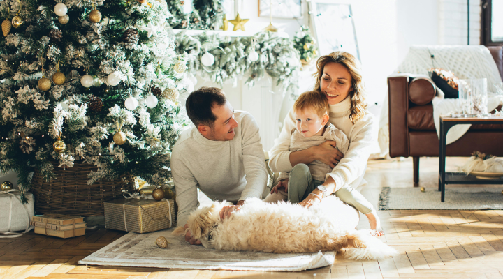 Christmas Ornaments for Deceased Pets: Keeping Their Memory Alive During the Holidays