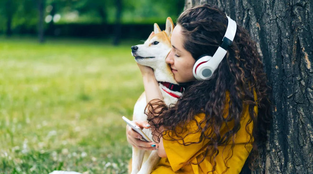 Top 10 Best Gifts For Someone Who Lost A Pet - LifeSong Milestones