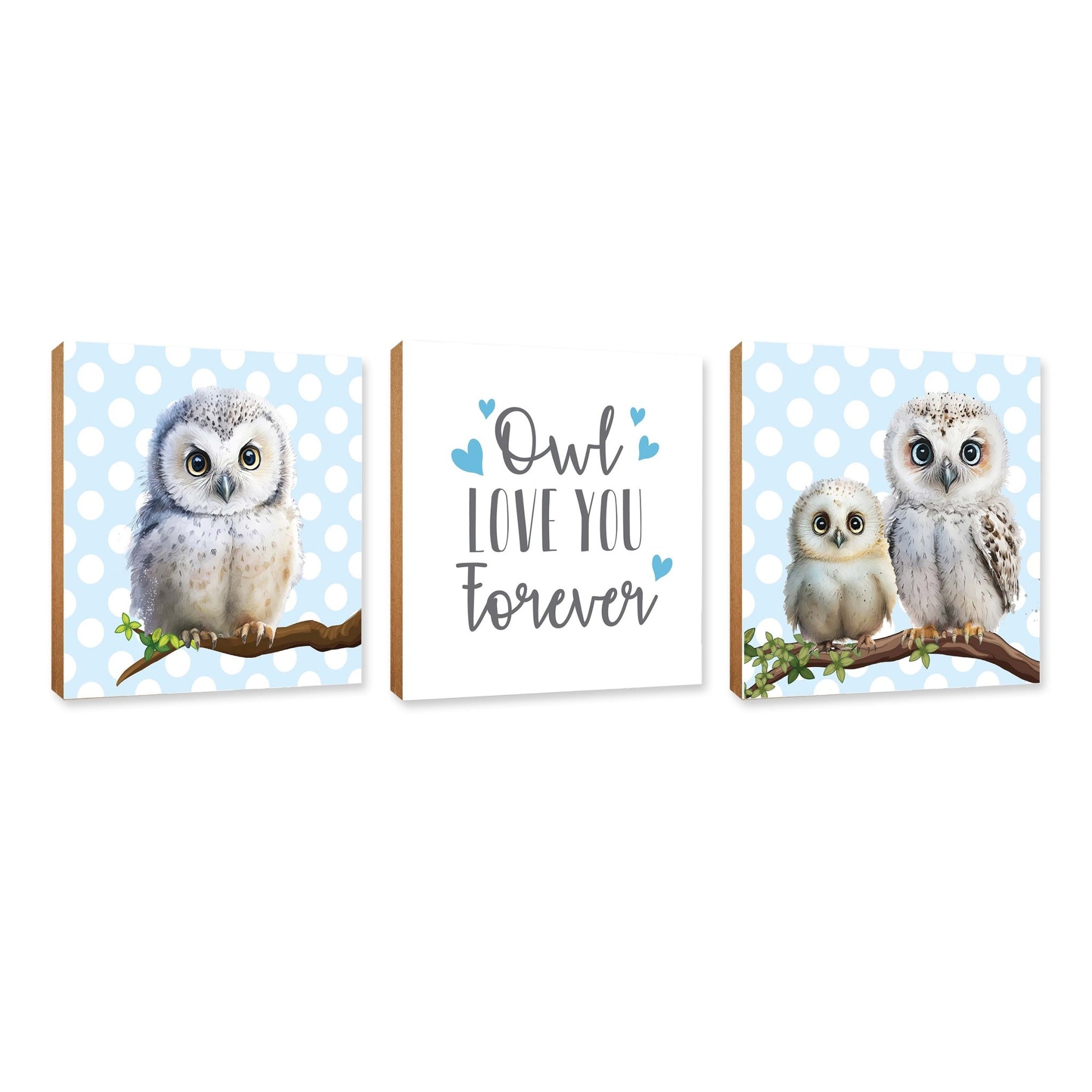 3pc Wooden Plaque |Owl Collection Table and Shelf Decor Valentines GIft Ideas - LifeSong Milestones