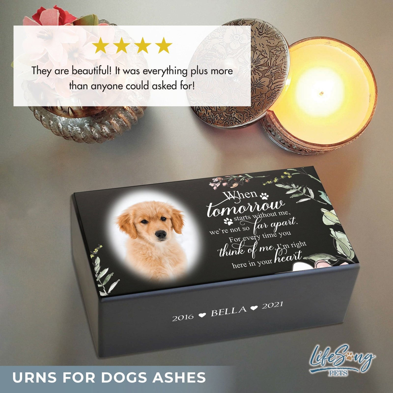 Biodegradable Pet Memorial Urn Box – A Sympathy Gift with Custom Engraving - When Tomorrow Starts - LifeSong Milestones