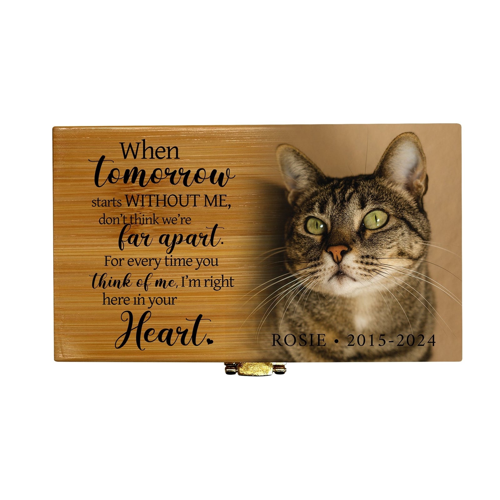 Biodegradable Urns for Pet Ashes - Personalized Funeral Keepsake - When Tomorrow Starts - LifeSong Milestones