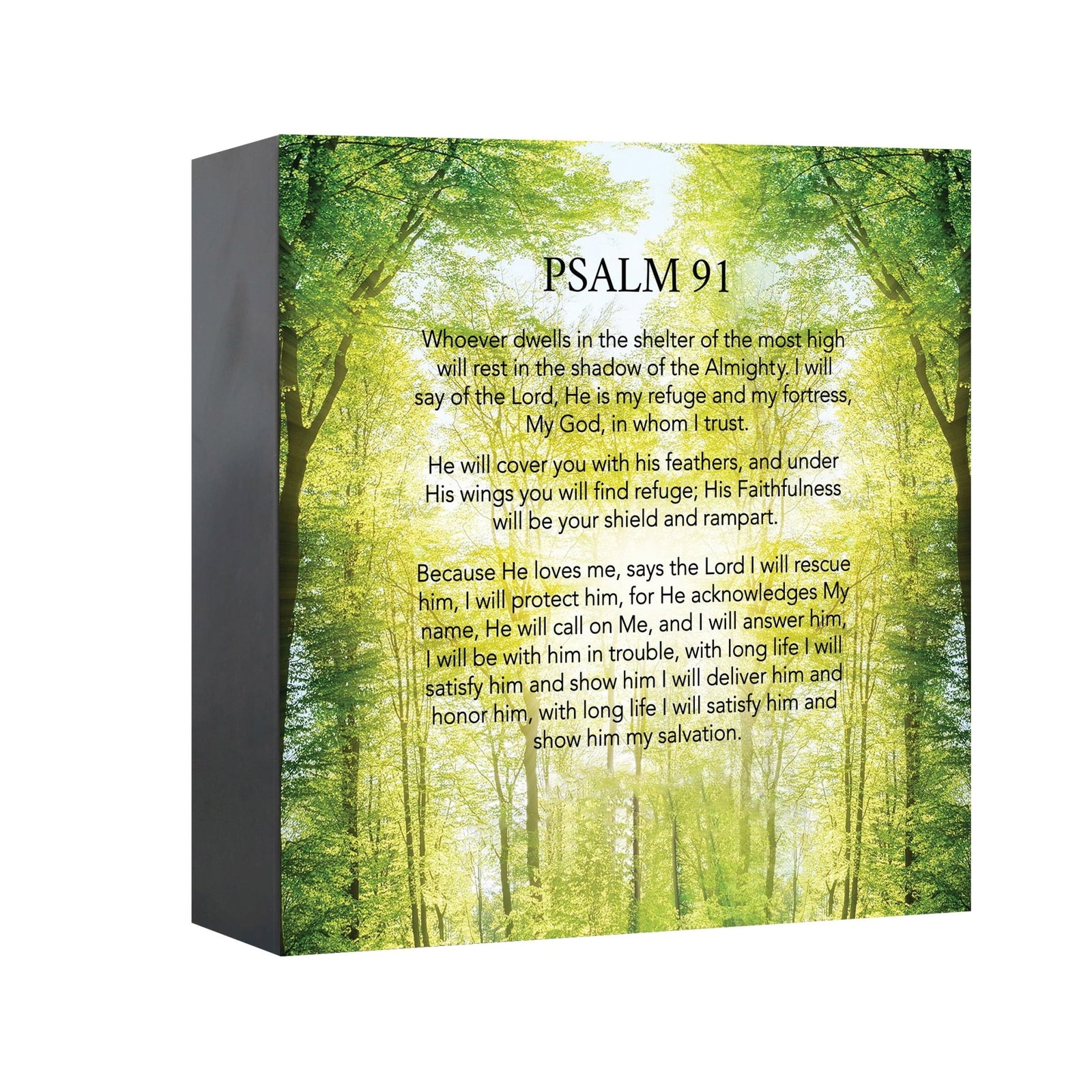 Cremation Urn for Human Ashes – Handcrafted Wooden Memorial Keepsake (Made in USA) - LifeSong Milestones