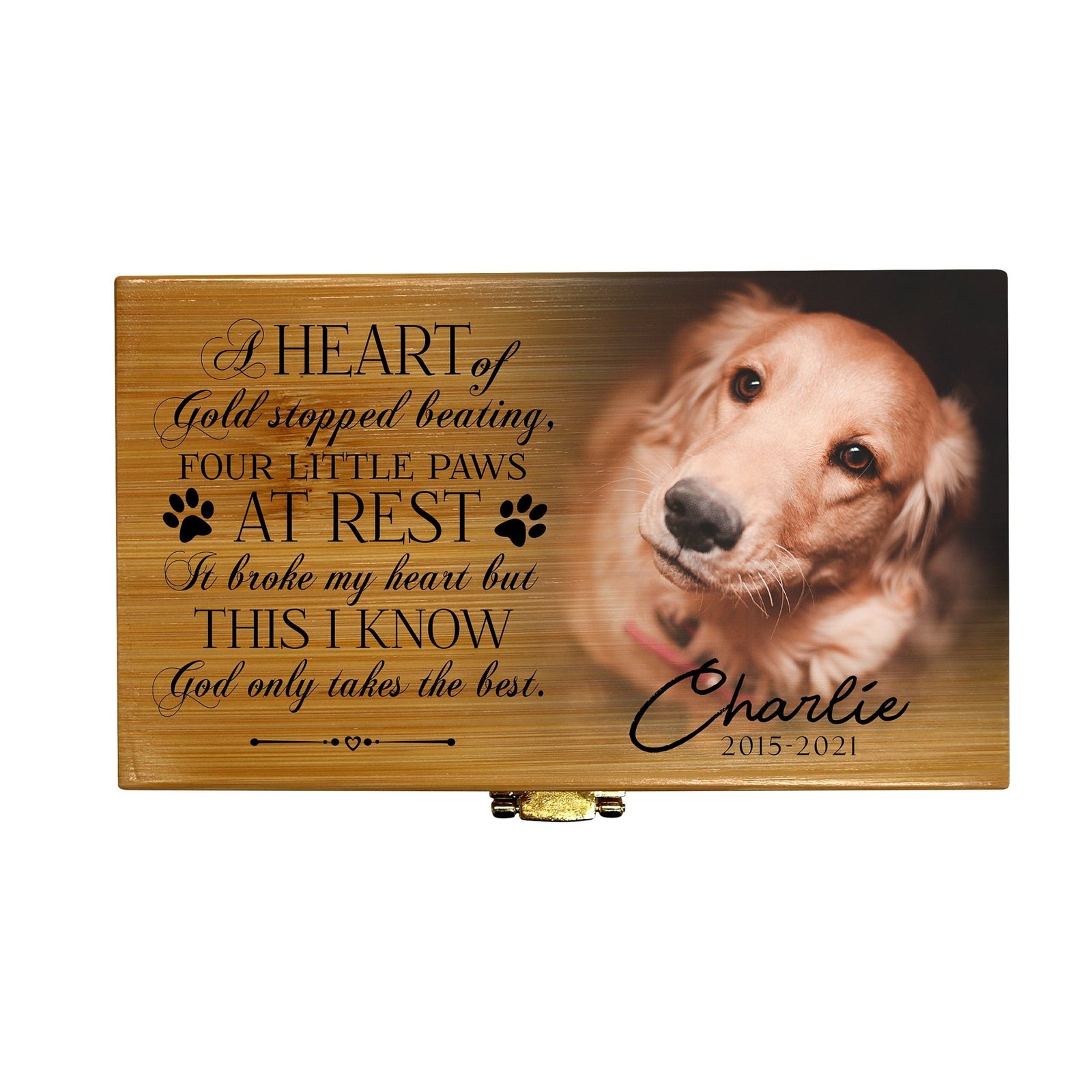 Eco - Friendly Biodegradable Funeral Urn for Pet Ashes – Sustainable Green Burial Memorial Keepsake - LifeSong Milestones