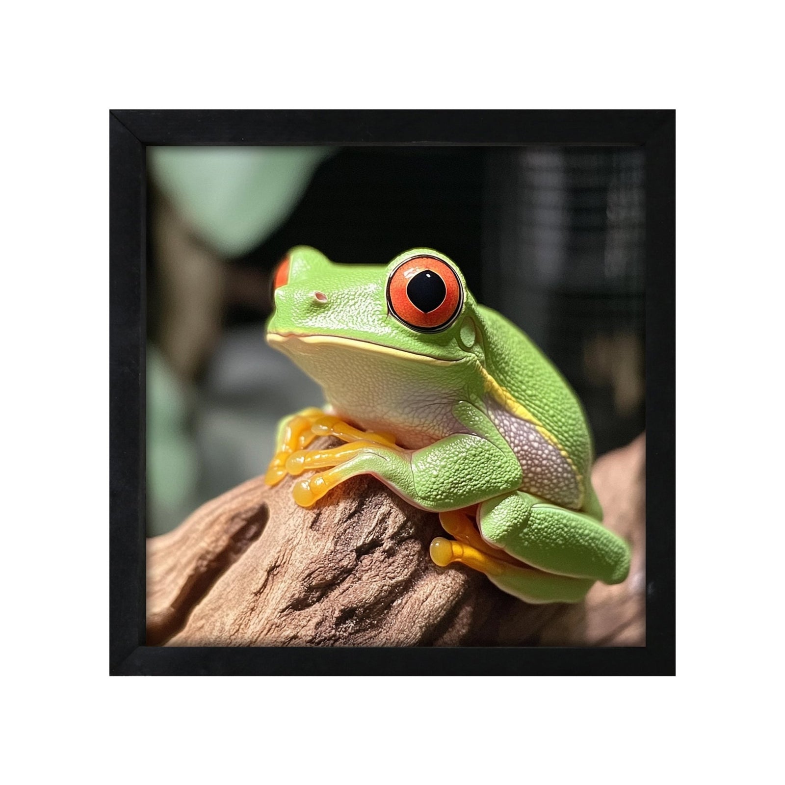 Frog Wall Art for Home — 20x20 Black Framed Wood Sign | Nature & Animal Home Décor Gift - LifeSong Milestones