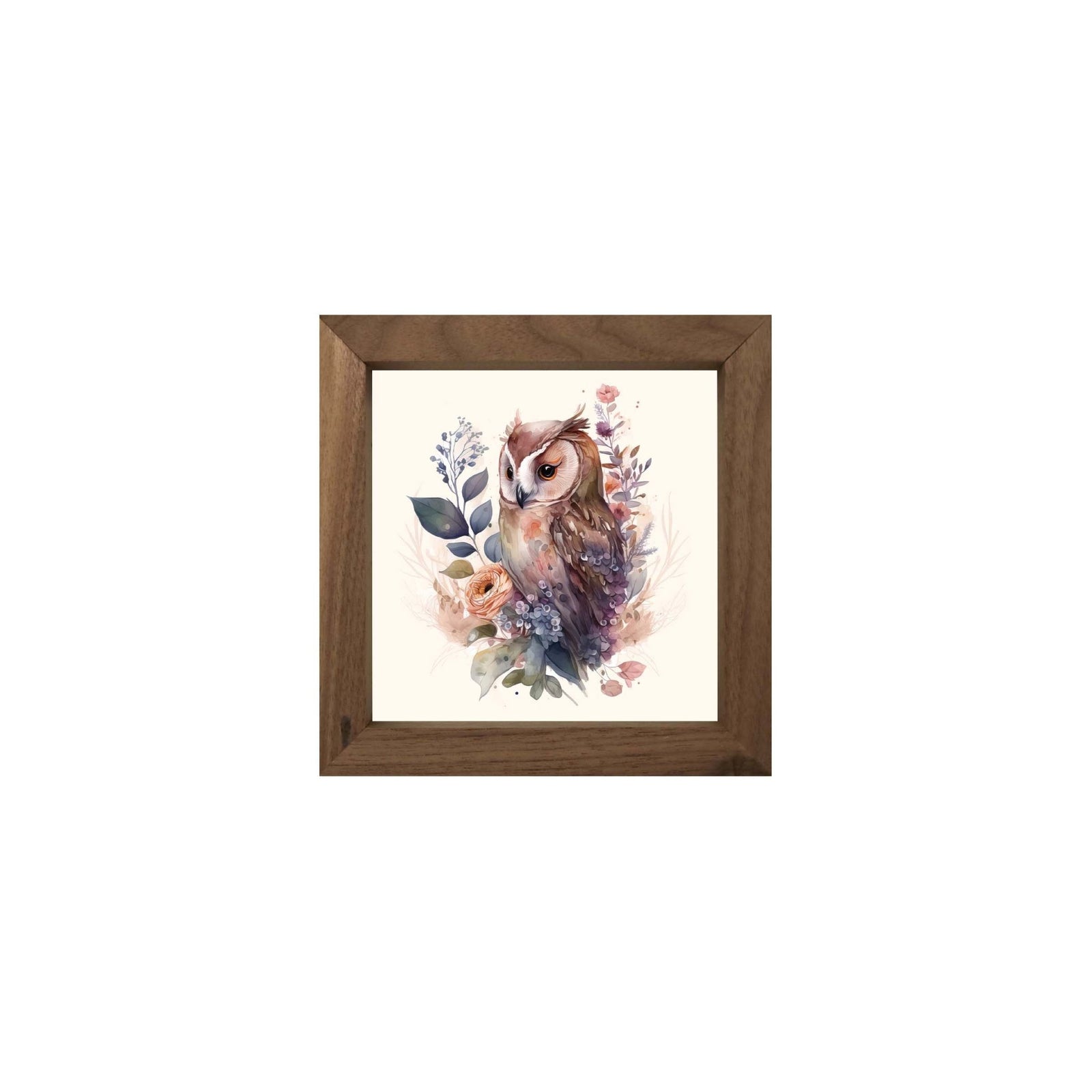 Owl Collection: 7x7 Wooden Wall Art Sign Framed Shadow Box| Large Owl - LifeSong Milestones