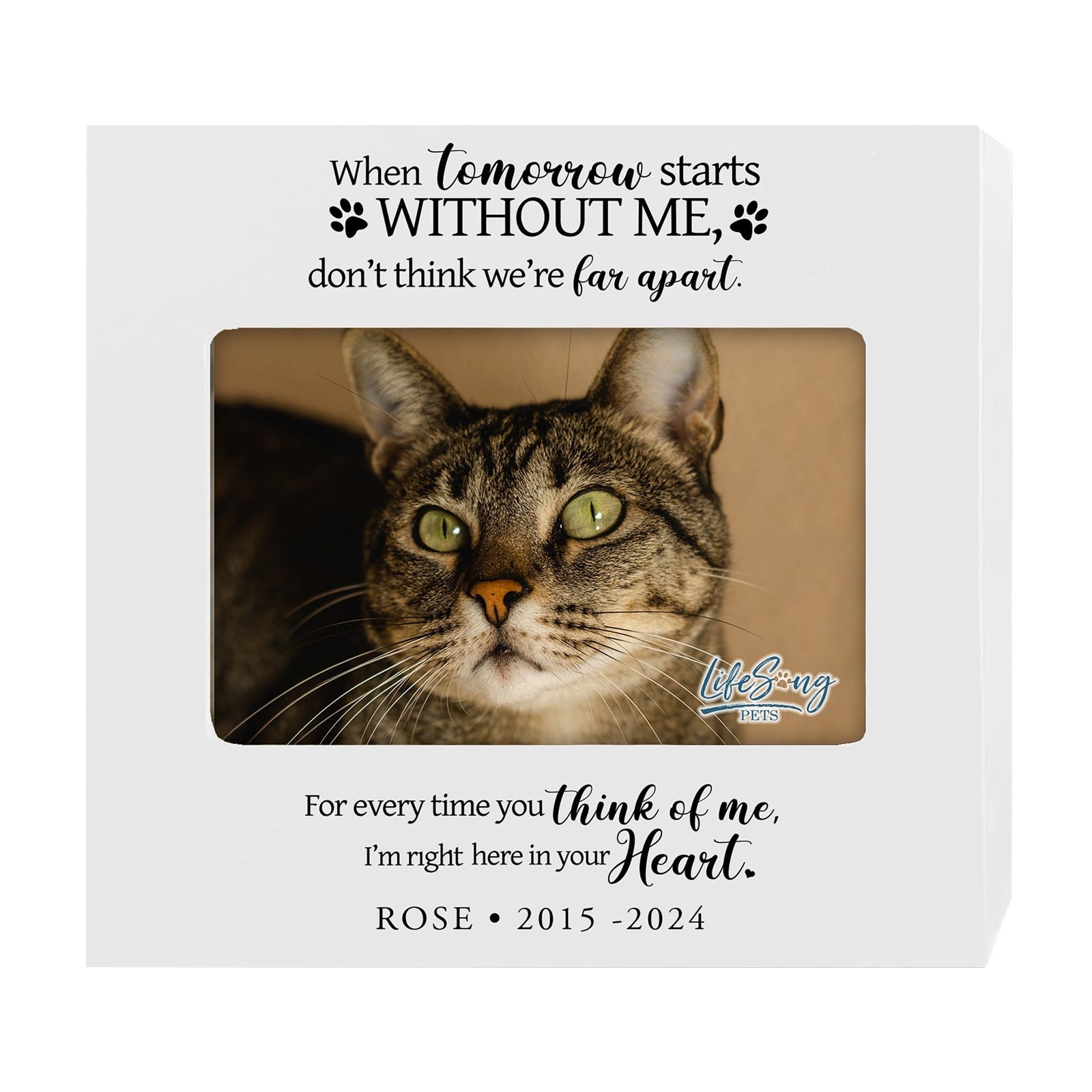 Personalized Wooden Pet Urn with Photo – Handcrafted Pet Remembrance Urn for Dogs & Cats - When Tomorrow Starts - LifeSong Milestones