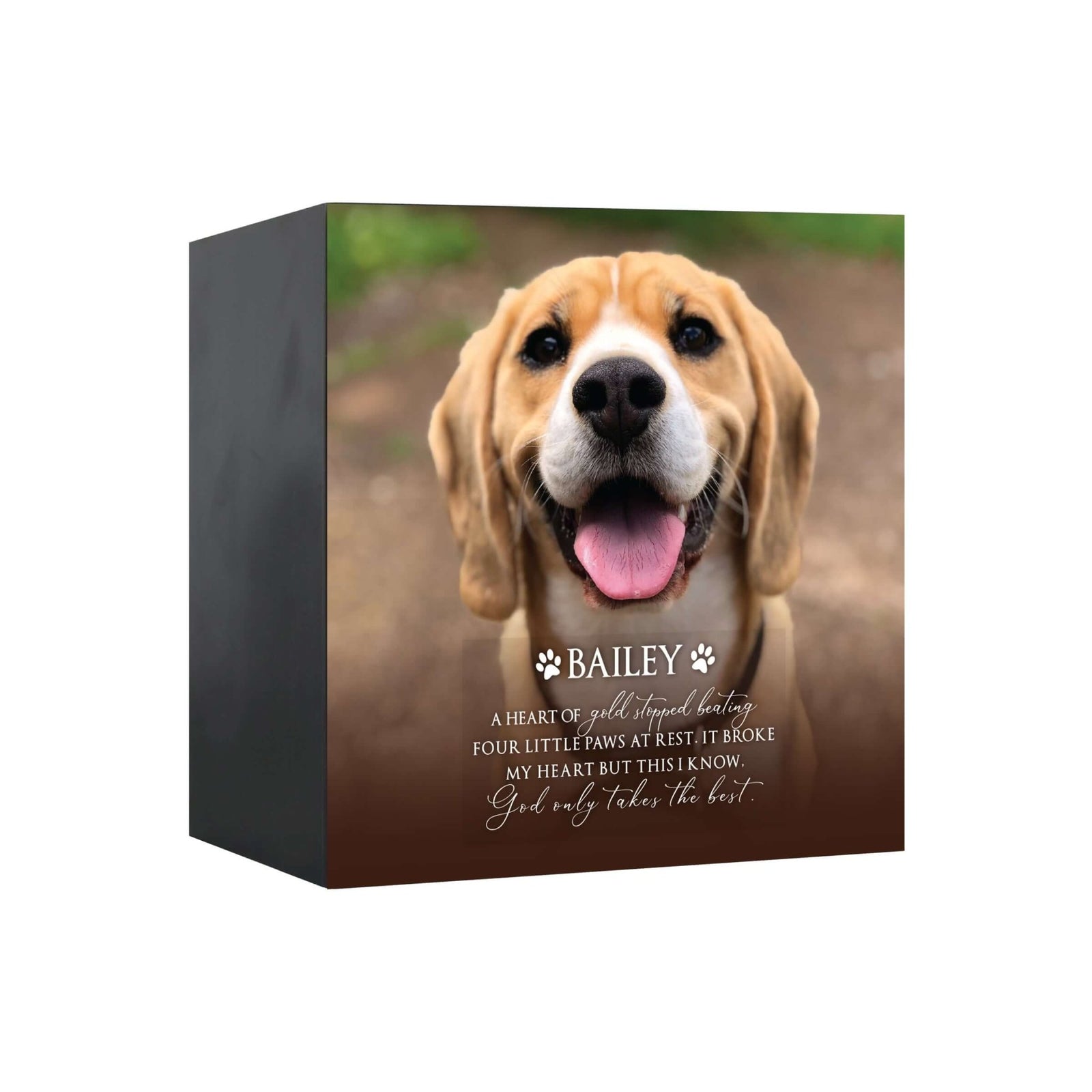 Close-up view of a Lifesong Milestones shadow box urn for dog or cat ashes, featuring a custom photo and a touching message. A high-quality wooden pet urn for ashes and a meaningful bereavement gift for someone who lost a pet.