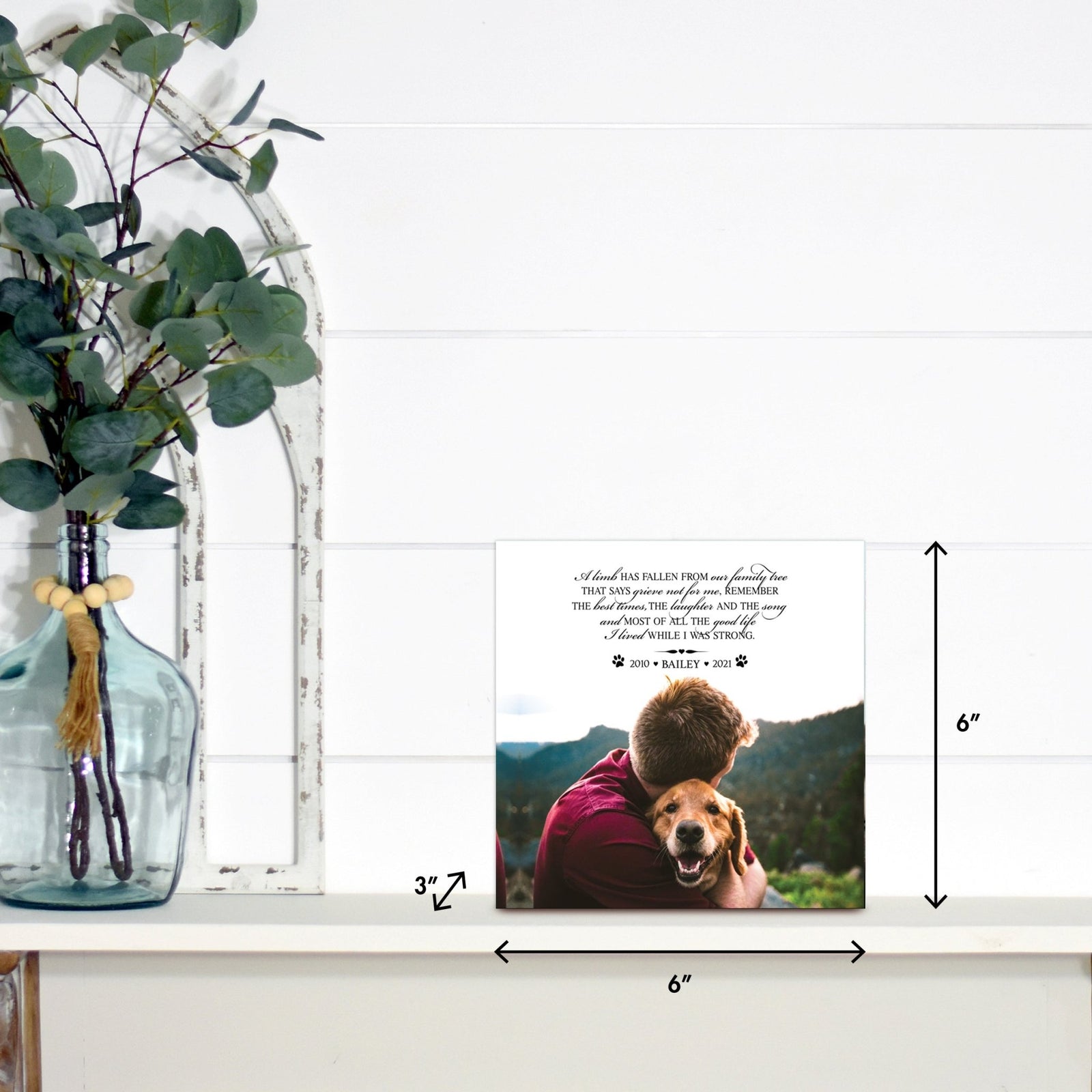 Lifesong Milestones pet memorial shadow box featuring a custom photo of a beloved pet, displayed on a white wooden shelf alongside a decorative vase of eucalyptus leaves. It is a perfect bereavement keepsake box and a thoughtful gift for loss of a pet.