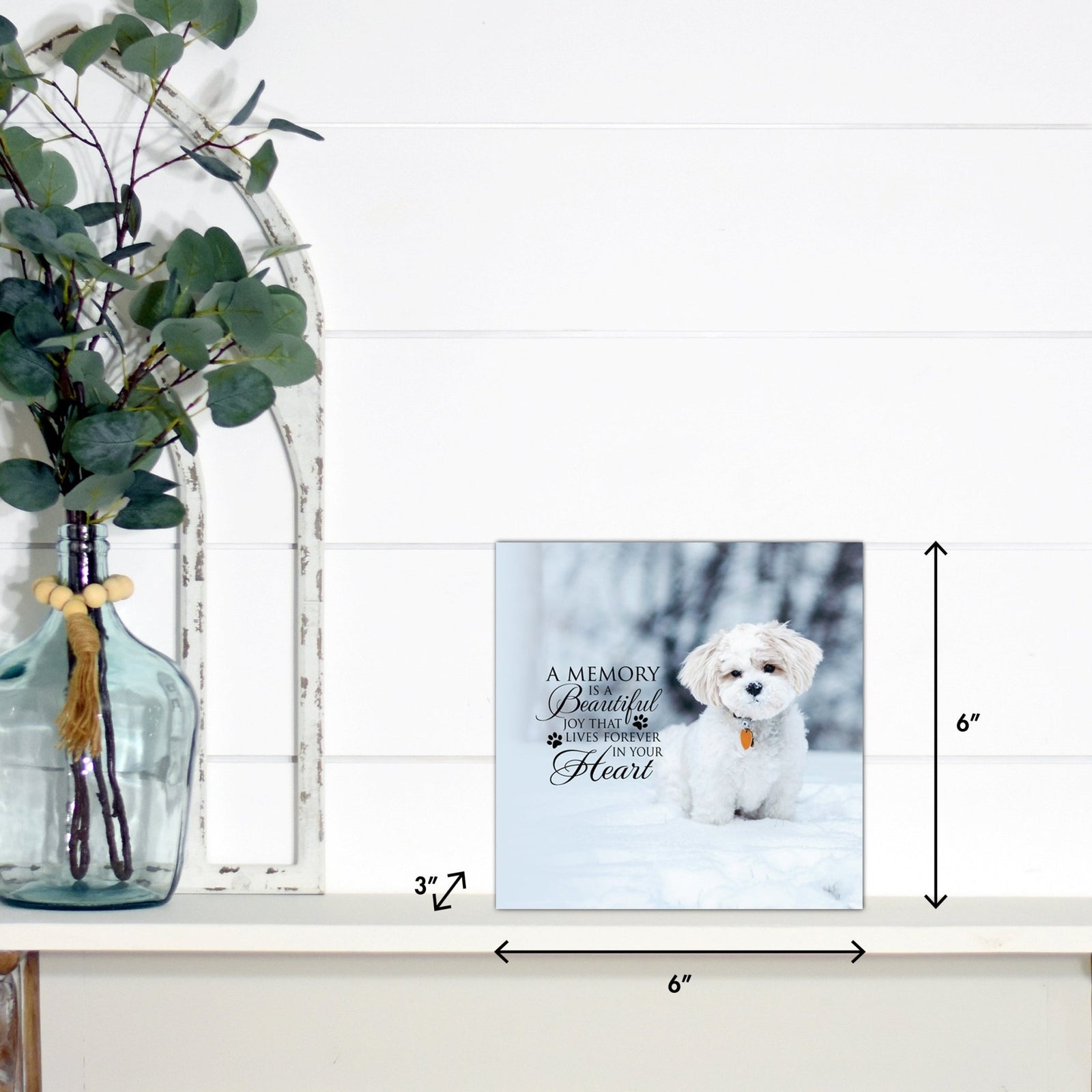 Lifesong Milestones pet memorial shadow box featuring a photo of a beloved pet, displayed on a white wooden shelf alongside a decorative vase of eucalyptus leaves. It is a perfect bereavement keepsake box and a thoughtful gift for loss of a pet.