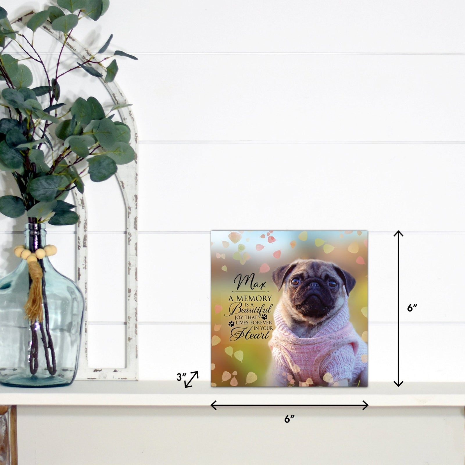 Lifesong Milestones pet memorial shadow box featuring a custom photo of a beloved pet, displayed on a white wooden shelf alongside a decorative vase of eucalyptus leaves. It is a perfect bereavement keepsake box and a thoughtful gift for loss of a pet.
