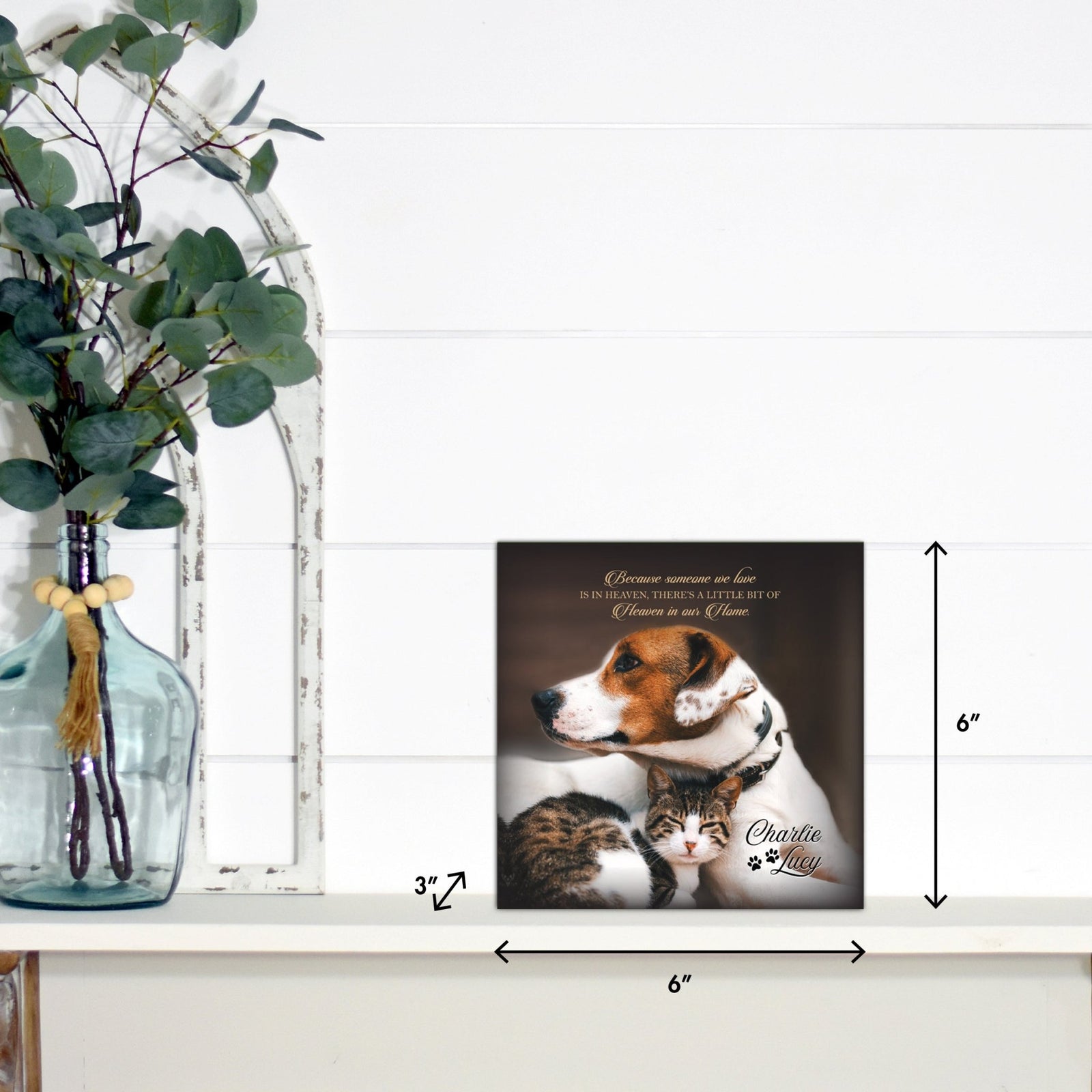 Lifesong Milestones pet memorial shadow box featuring a custom photo of a beloved pet, displayed on a white wooden shelf alongside a decorative vase of eucalyptus leaves. It is a perfect bereavement keepsake box and a thoughtful gift for loss of a pet.