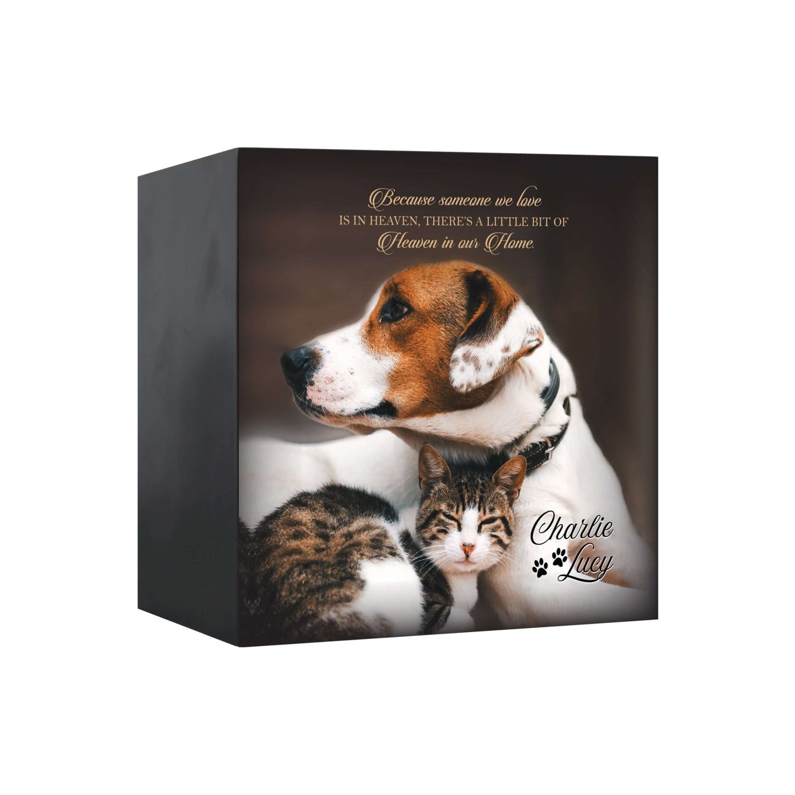Close-up view of a Lifesong Milestones shadow box urn for dog or cat ashes, featuring a custom photo and a touching message. A high-quality wooden pet urn for ashes and a meaningful bereavement gift for someone who lost a pet.