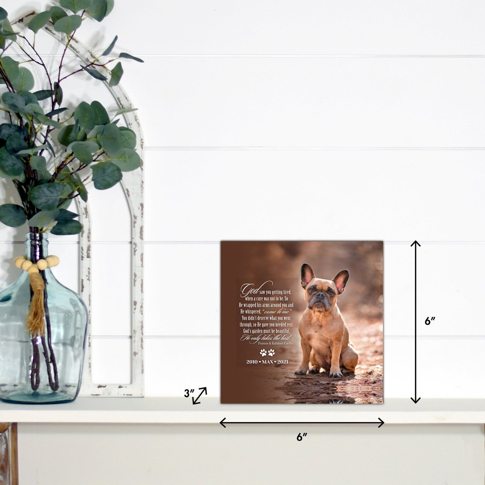 Lifesong Milestones pet memorial shadow box featuring a custom photo of a beloved pet, displayed on a white wooden shelf alongside a decorative vase of eucalyptus leaves. It is a perfect bereavement keepsake box and a thoughtful gift for loss of a pet.