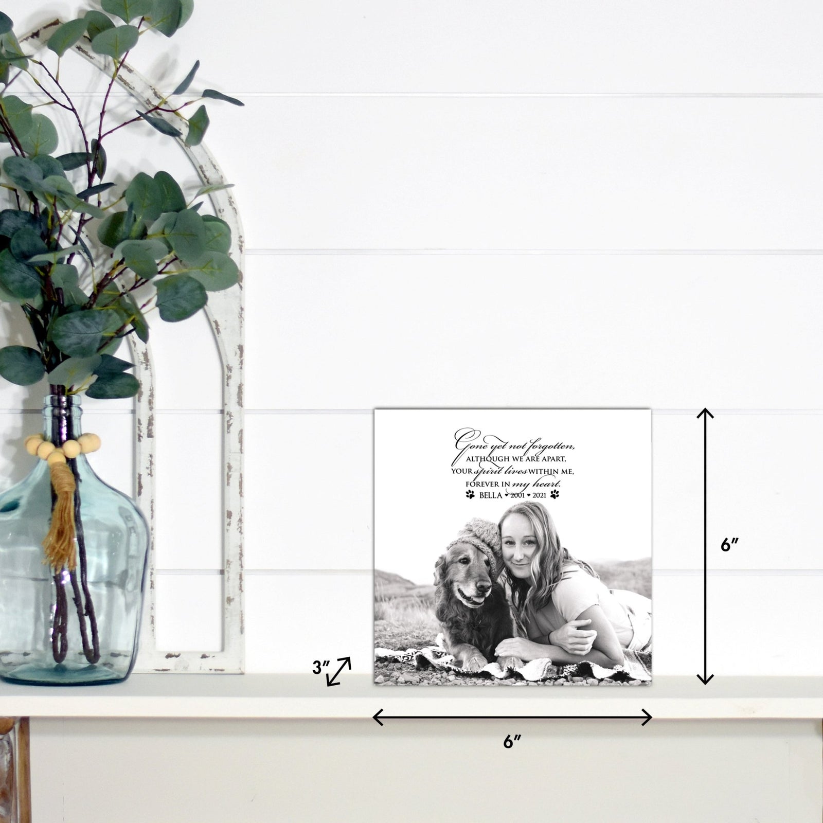 Lifesong Milestones pet memorial shadow box featuring a custom photo of a beloved pet, displayed on a white wooden shelf alongside a decorative vase of eucalyptus leaves. It is a perfect bereavement keepsake box and a thoughtful gift for loss of a pet.