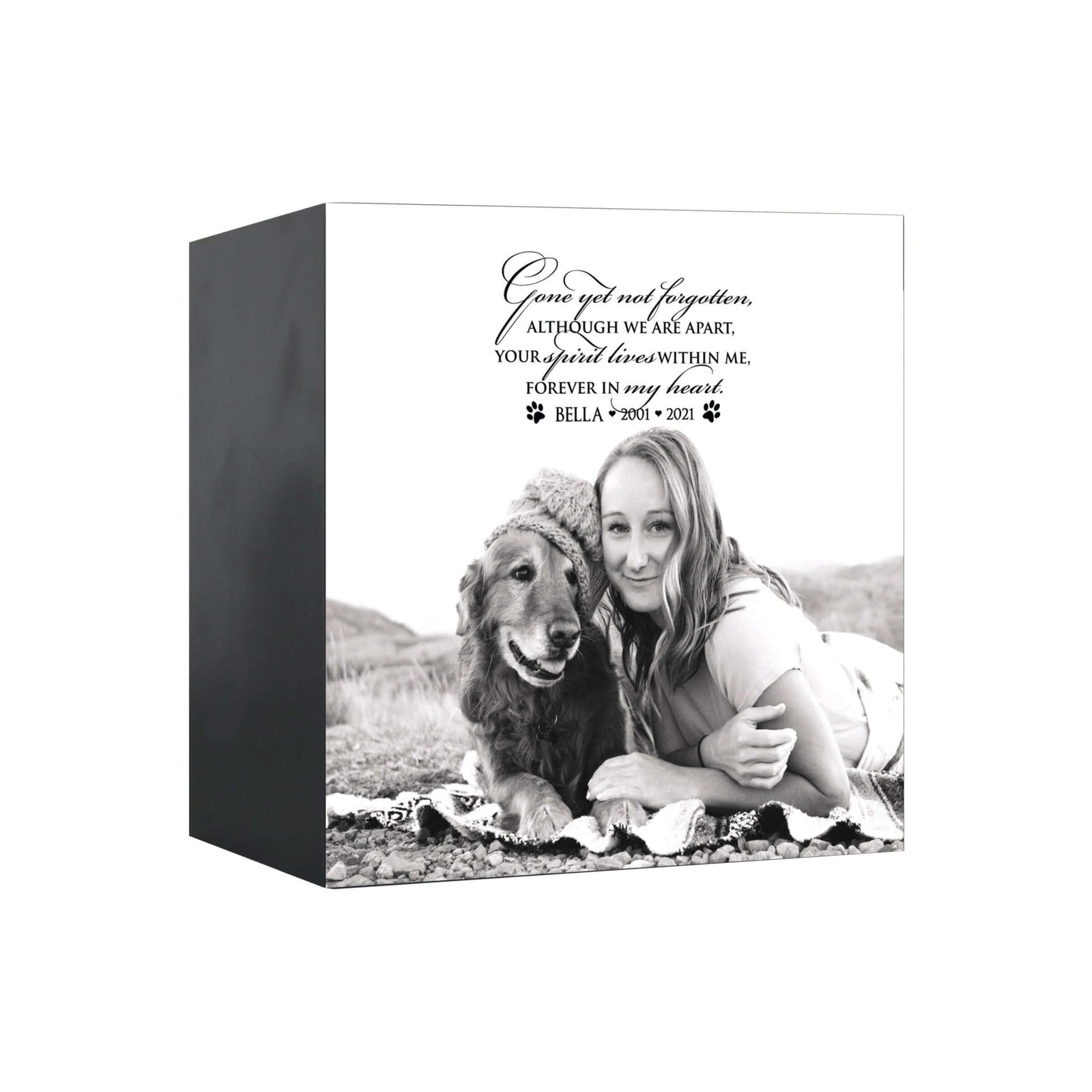 Close-up view of a Lifesong Milestones shadow box urn for dog or cat ashes, featuring a custom photo and a touching message. A high-quality wooden pet urn for ashes and a meaningful bereavement gift for someone who lost a pet.