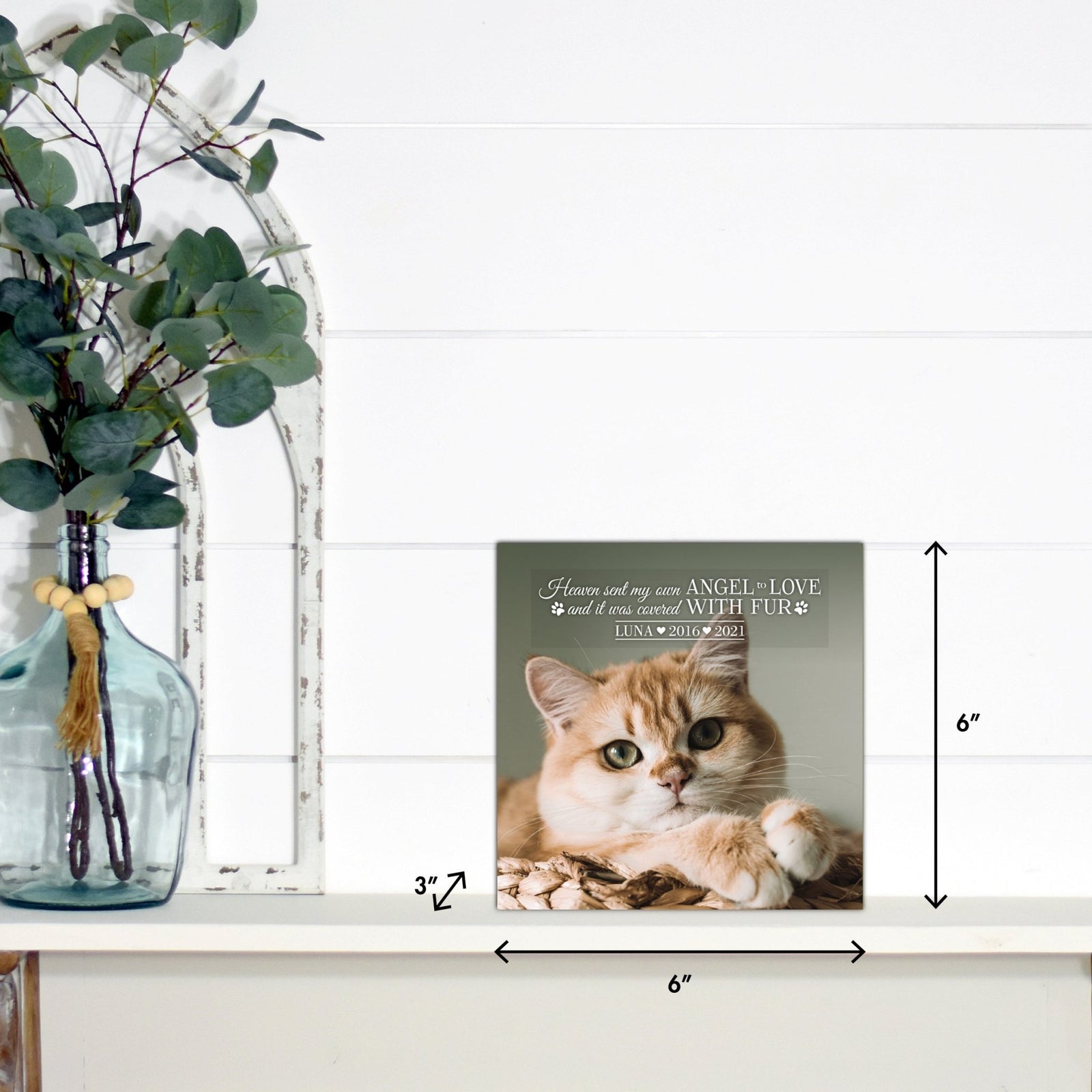 Wooden pet urn shadow box by Lifesong Milestones displayed on a rustic wooden table with a white vase of pampas grass.