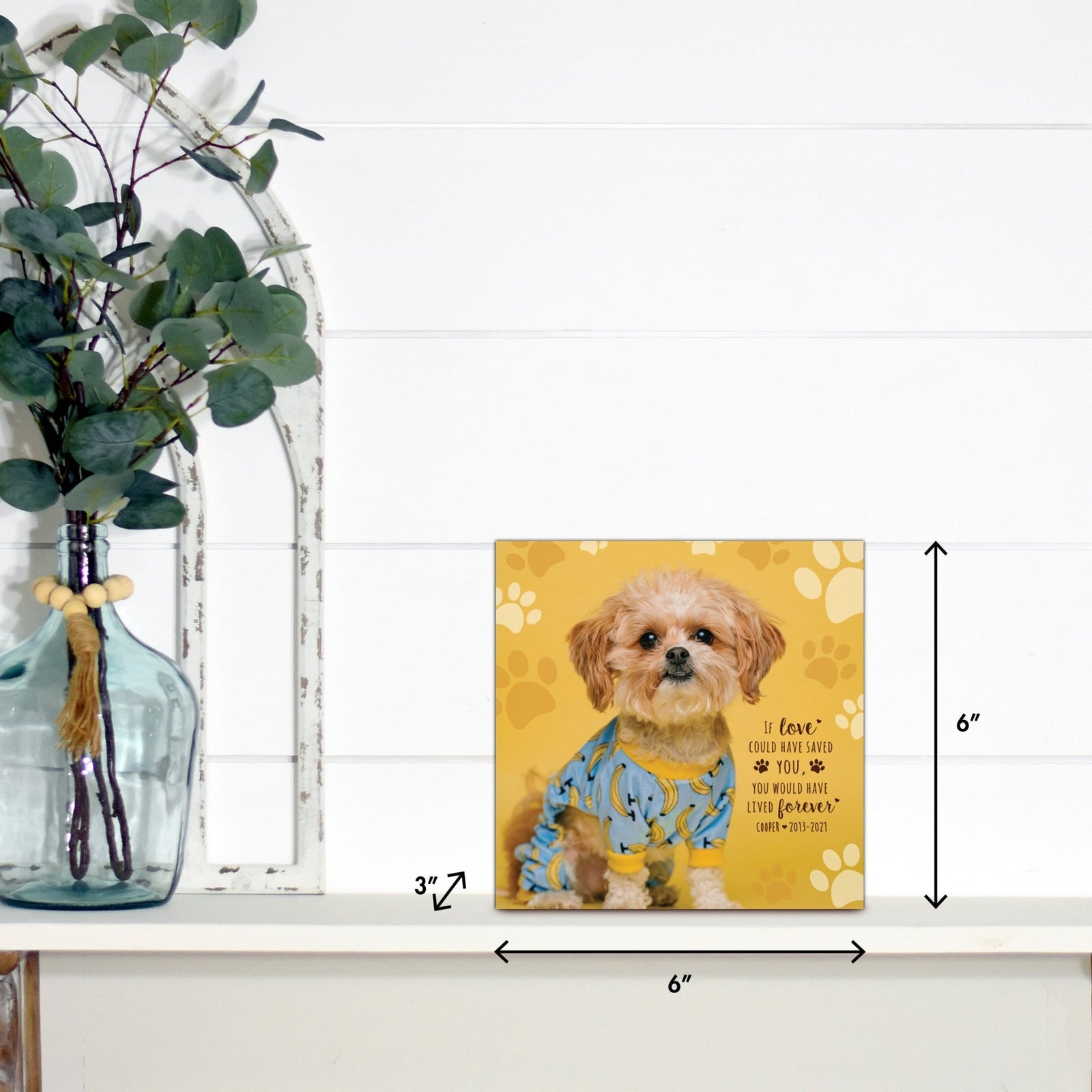 A close-up of the pet urn with dimensions, showcasing its compact size and elegant design.