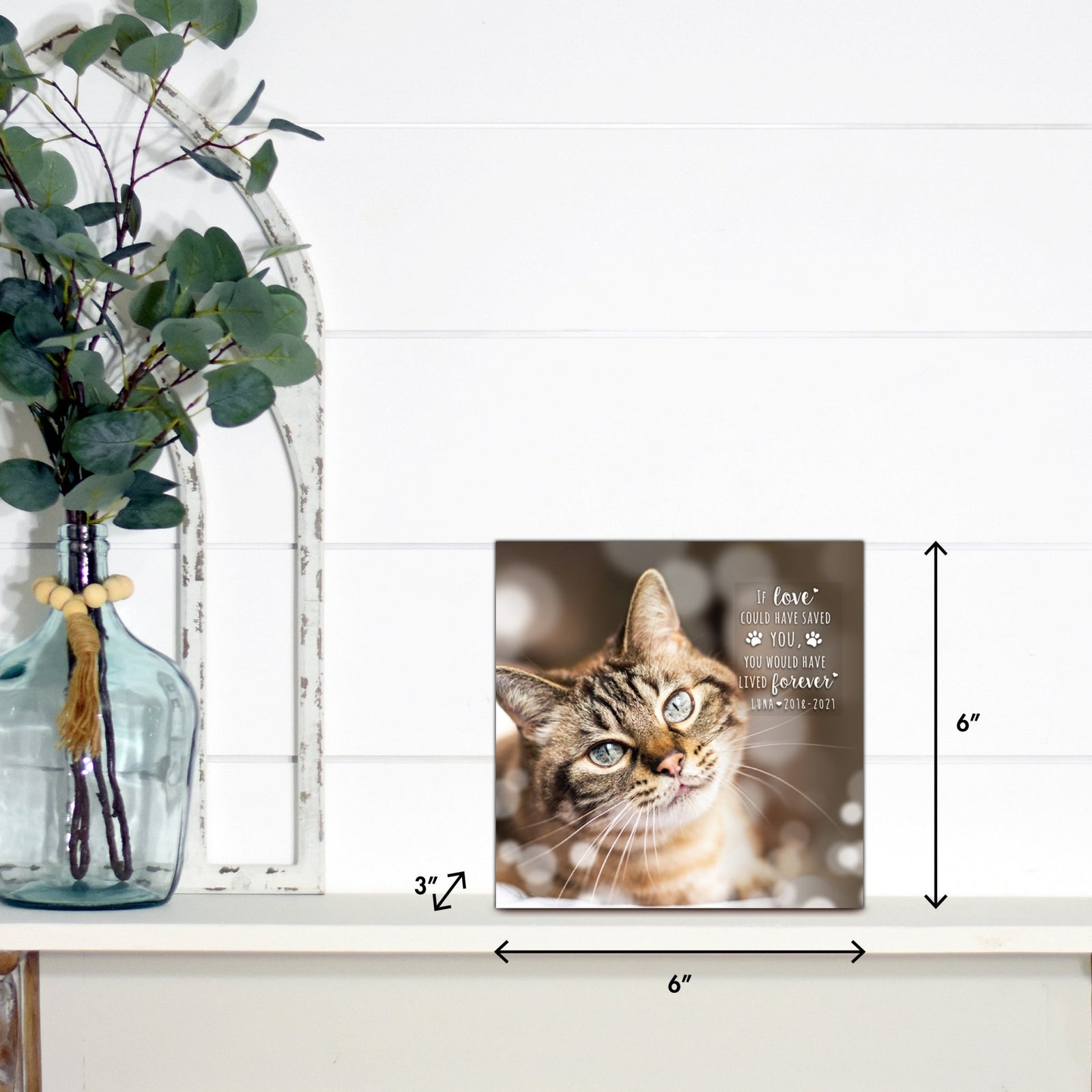Lifesong Milestones pet memorial shadow box featuring a custom photo of a beloved dog, displayed on a white wooden shelf alongside a decorative vase of eucalyptus leaves.