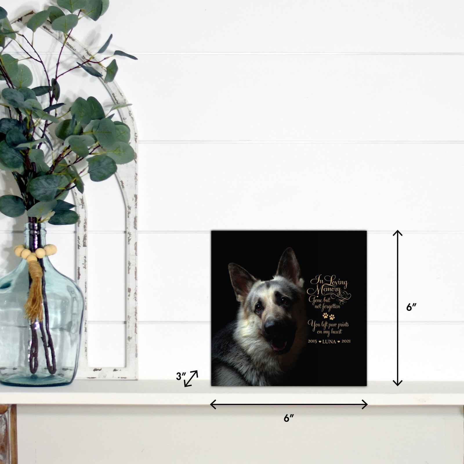 A close-up of the pet urn with dimensions, showcasing its compact size and elegant design.