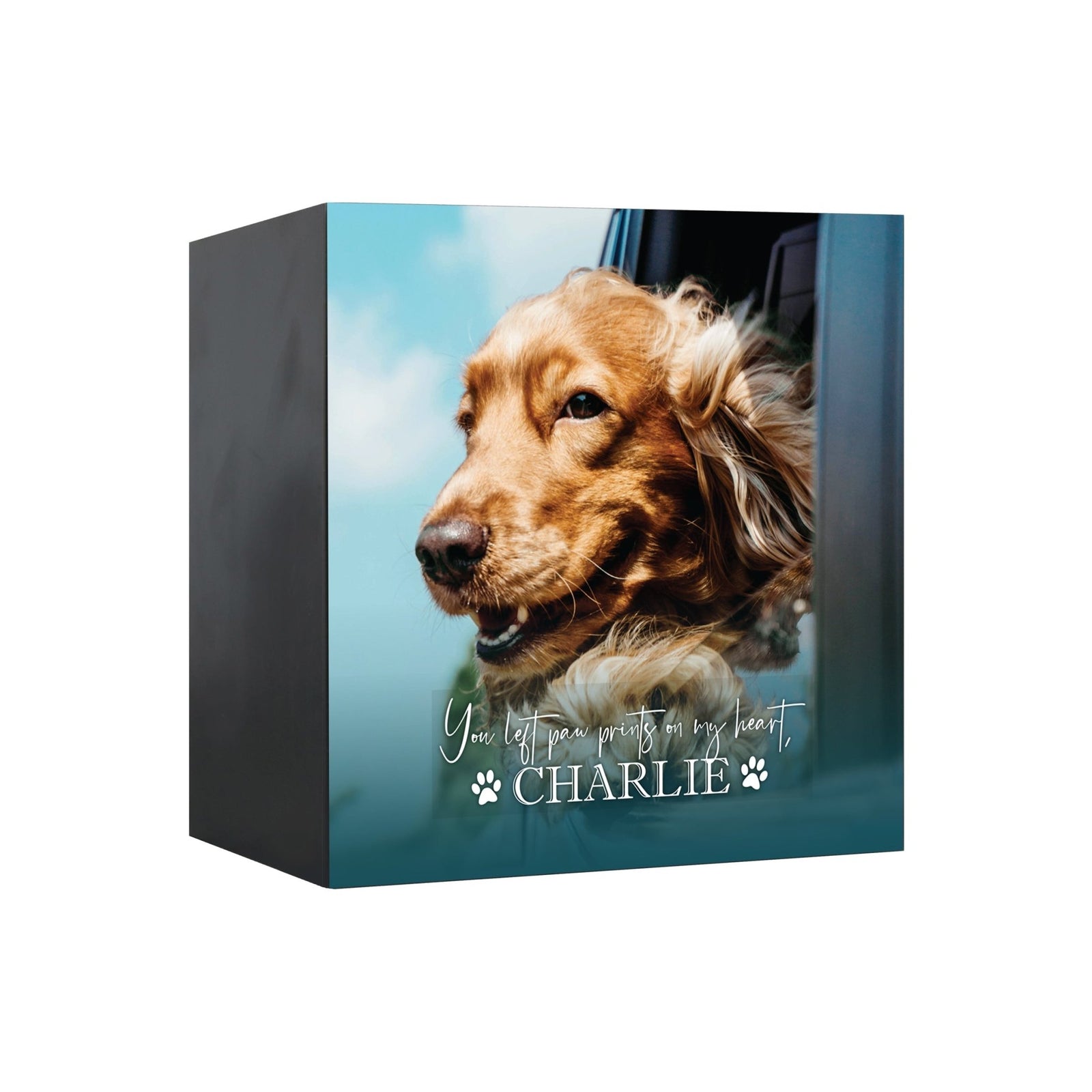 Pet Memorial Custom Photo Shadow Box Cremation Urn - You Left Paw Prints - LifeSong Milestones