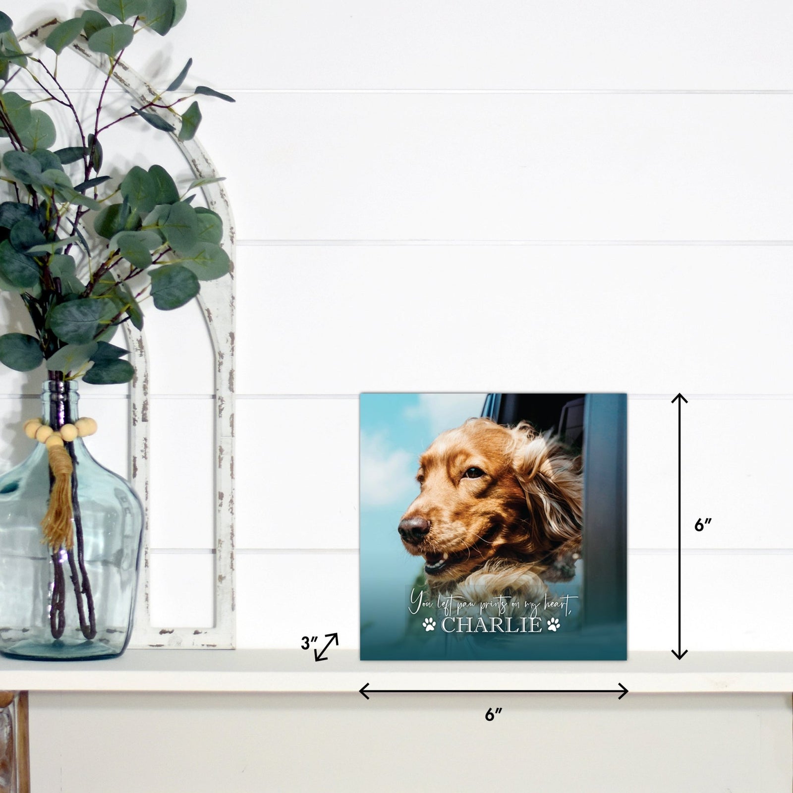 Pet Memorial Custom Photo Shadow Box Cremation Urn - You Left Paw Prints - LifeSong Milestones