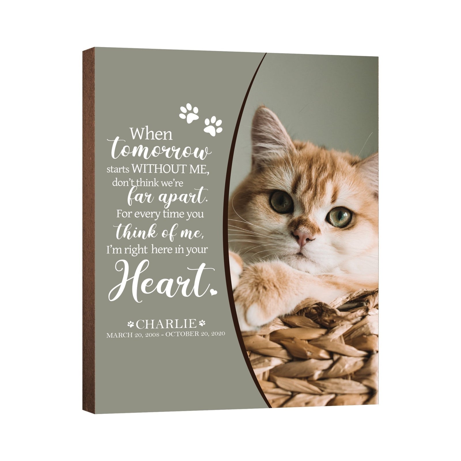 Pet Memorial Custom Photo Wall Plaque Décor - When Tomorrow Starts Without Me - LifeSong Milestones