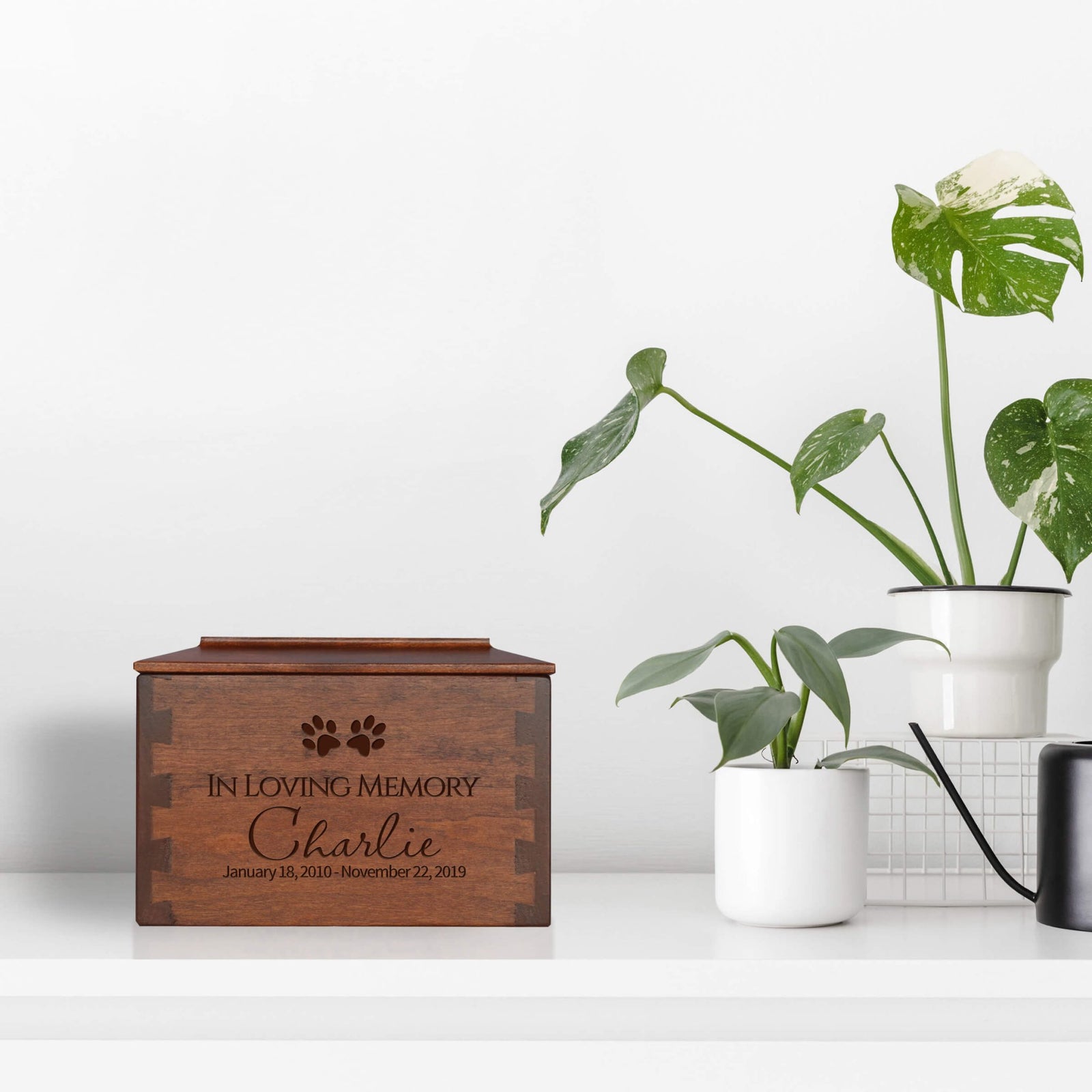 Pet Memorial Dovetail Cremation Urn Box for Dog or Cat - In Loving Memory - LifeSong Milestones