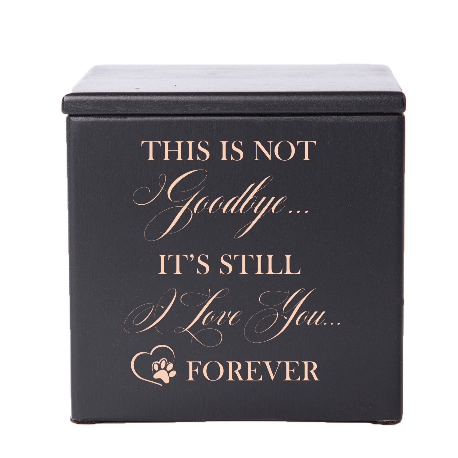 Pet Memorial Keepsake Cremation Urn Box for Dog or Cat - This Is Not Goodbye - LifeSong Milestones