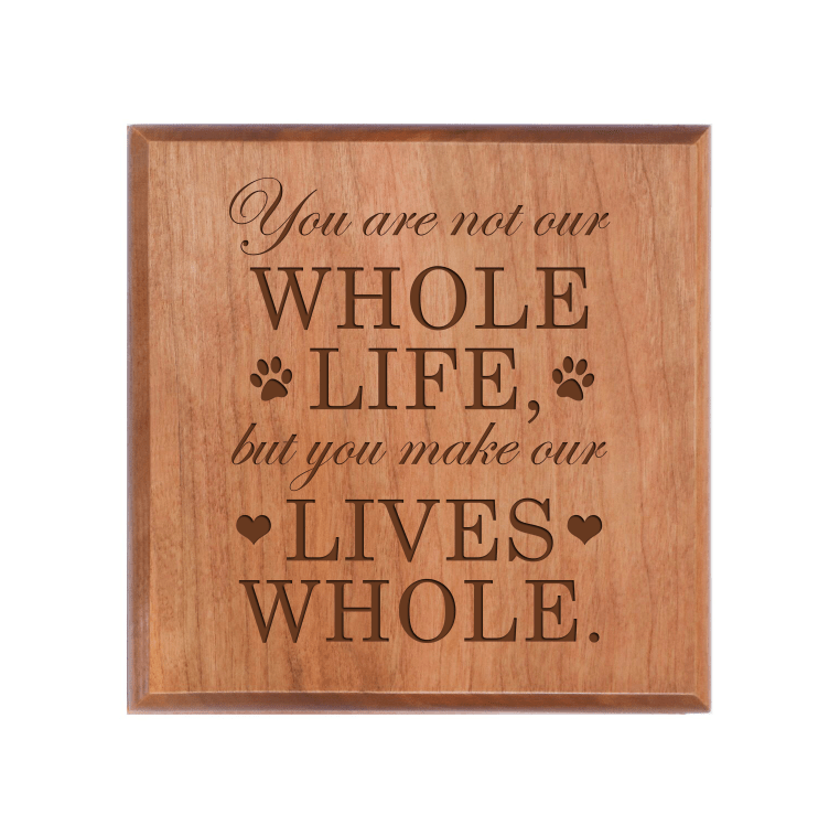Pet Memorial Keepsake Urn Box for Dog or Cat - You Are Not Our Whole Life - LifeSong Milestones