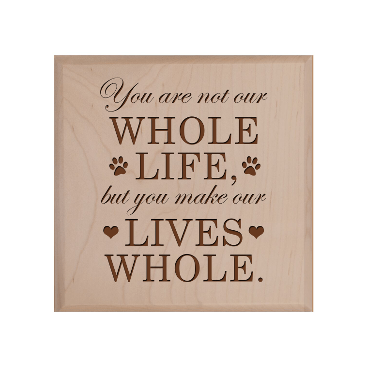 Pet Memorial Keepsake Urn Box for Dog or Cat - You Are Not Our Whole Life - LifeSong Milestones