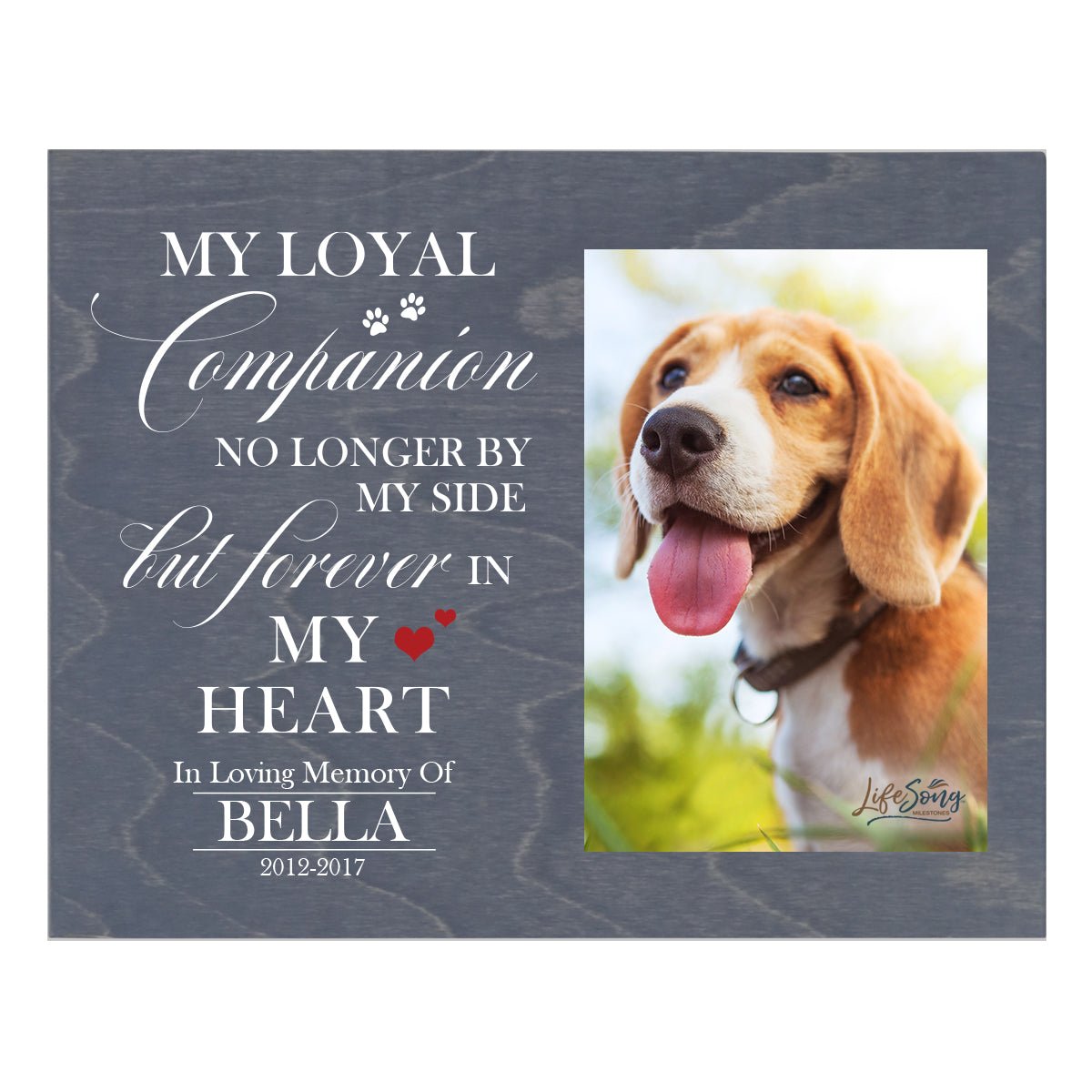 Pet Memorial Photo Wall Plaque Décor - My Loyal Companion - LifeSong Milestones