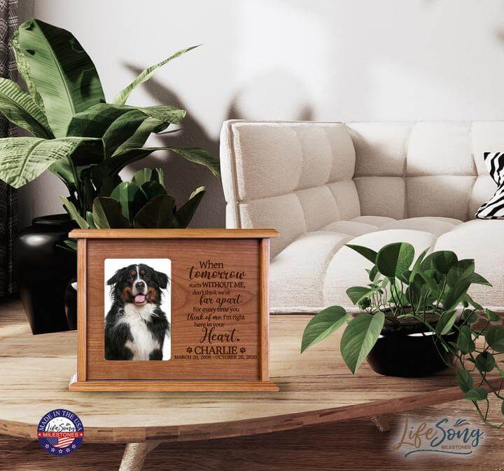 Pet Memorial Picture Cremation Urn Box for Dog or Cat - When Tomorrow Starts Without Me - LifeSong Milestones