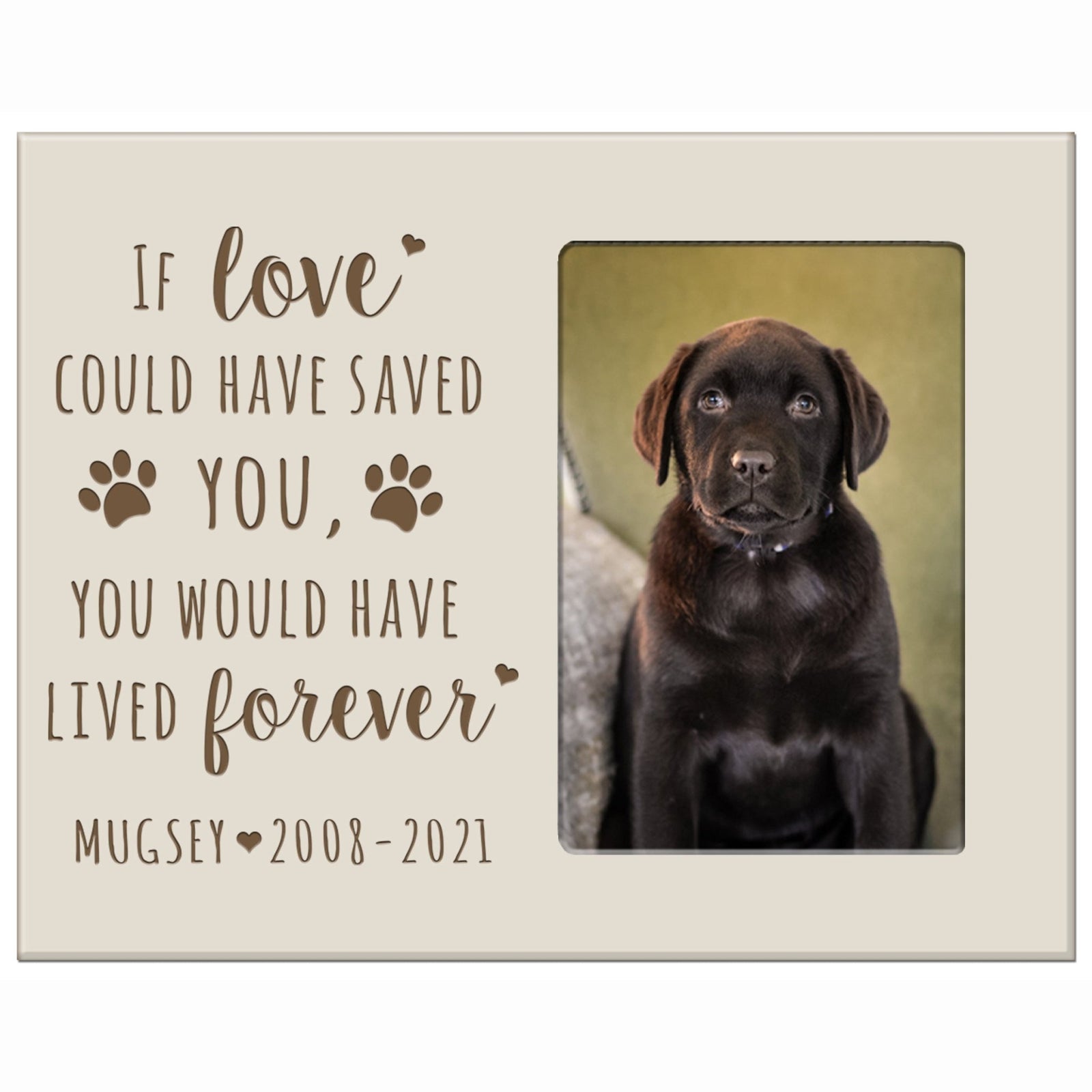 Pet Memorial Picture Frame - If Love Could Have Saved You - LifeSong Milestones