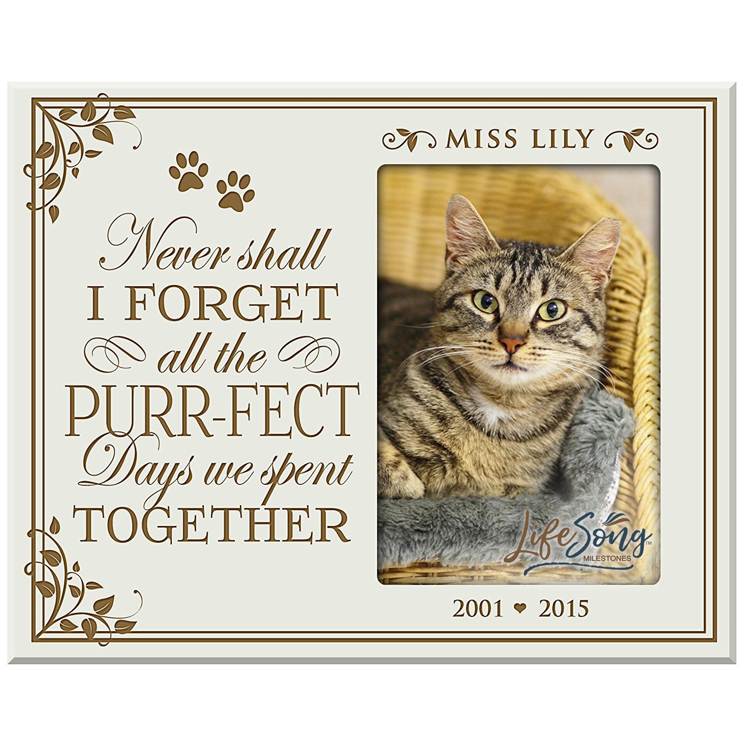 Pet Memorial Picture Frame - Never Shall I Forget (Cat) - LifeSong Milestones