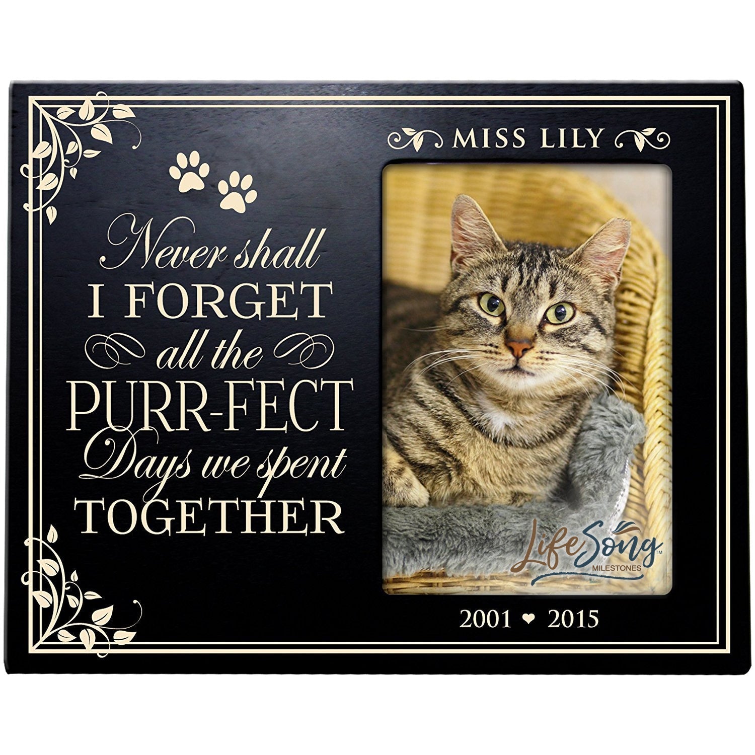 Pet Memorial Picture Frame - Never Shall I Forget (Cat) - LifeSong Milestones