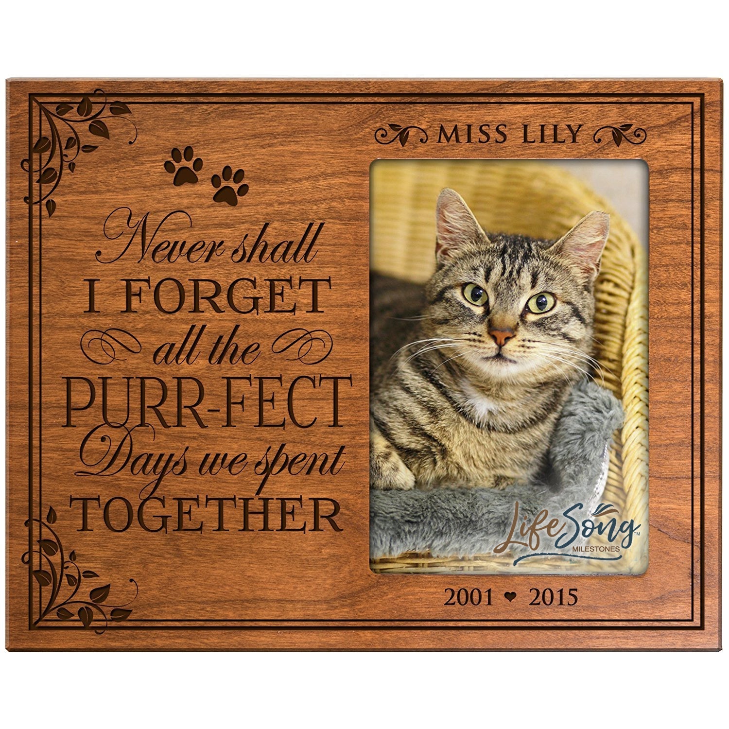 Pet Memorial Picture Frame - Never Shall I Forget (Cat) - LifeSong Milestones