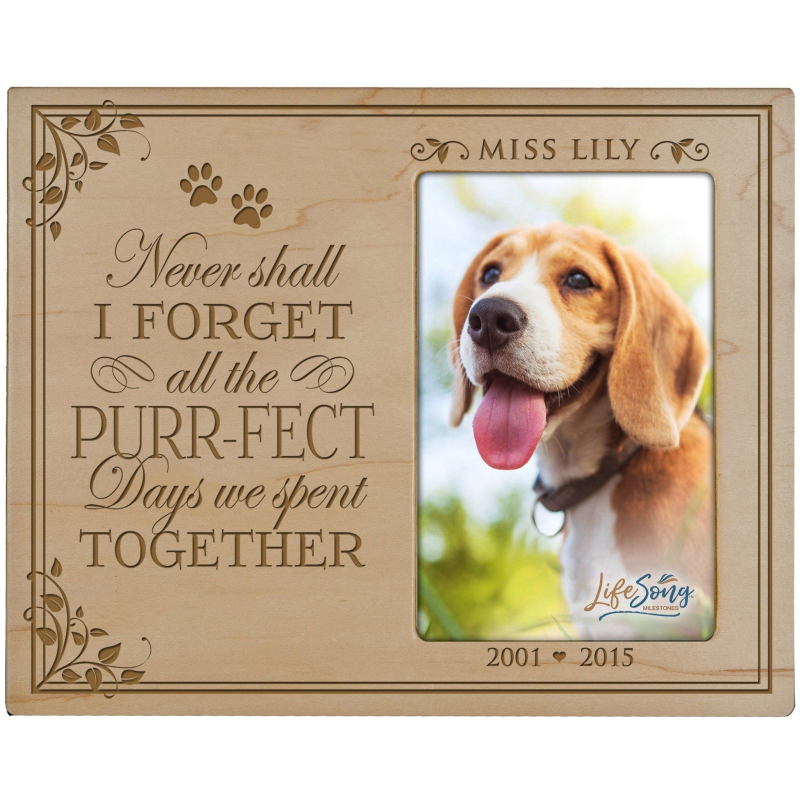 Pet Memorial Picture Frame - Never Shall I Forget (Cat) - LifeSong Milestones