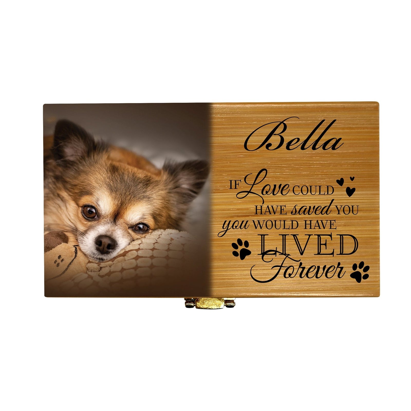 Sustainable Bamboo Cremation Urn for Pet Ashes – Biodegradable Memorial Keepsake - If Love Could - LifeSong Milestones