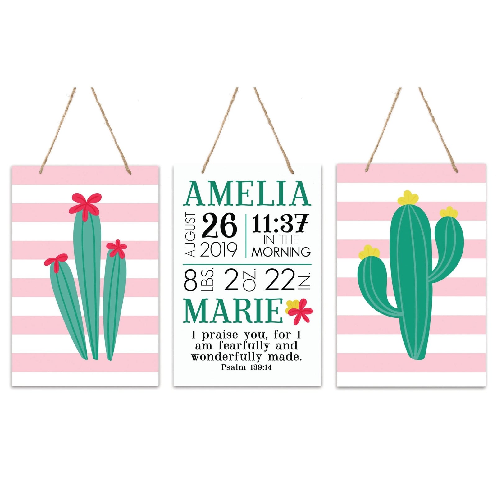 Childrens Wall Decor For Boys and Girls Bedroom - Cactus - LifeSong Milestones