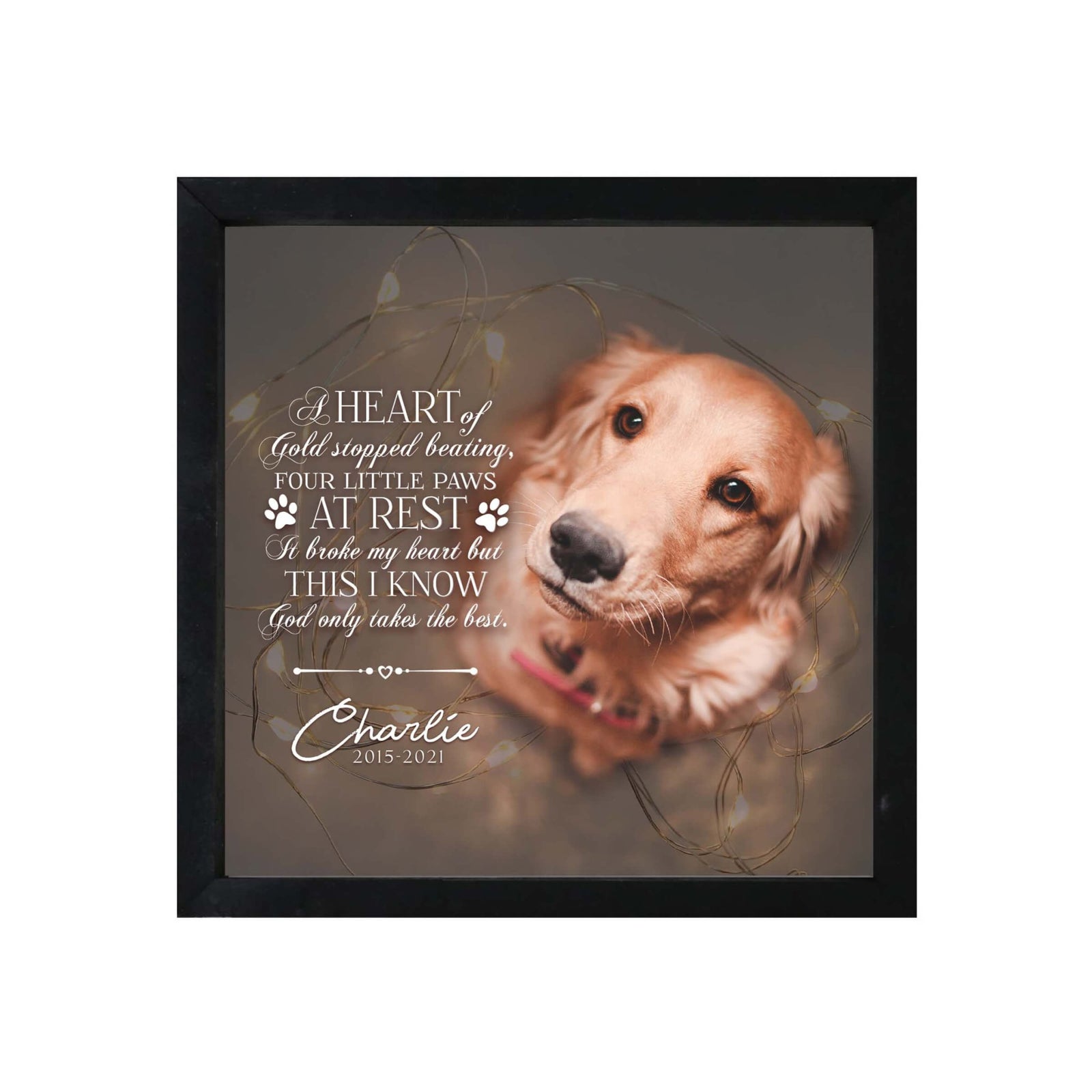 Custom Pet Memorial Framed Shadow Box Wall Décor for the Loss of Beloved Pet - A Heart Of Gold - LifeSong Milestones