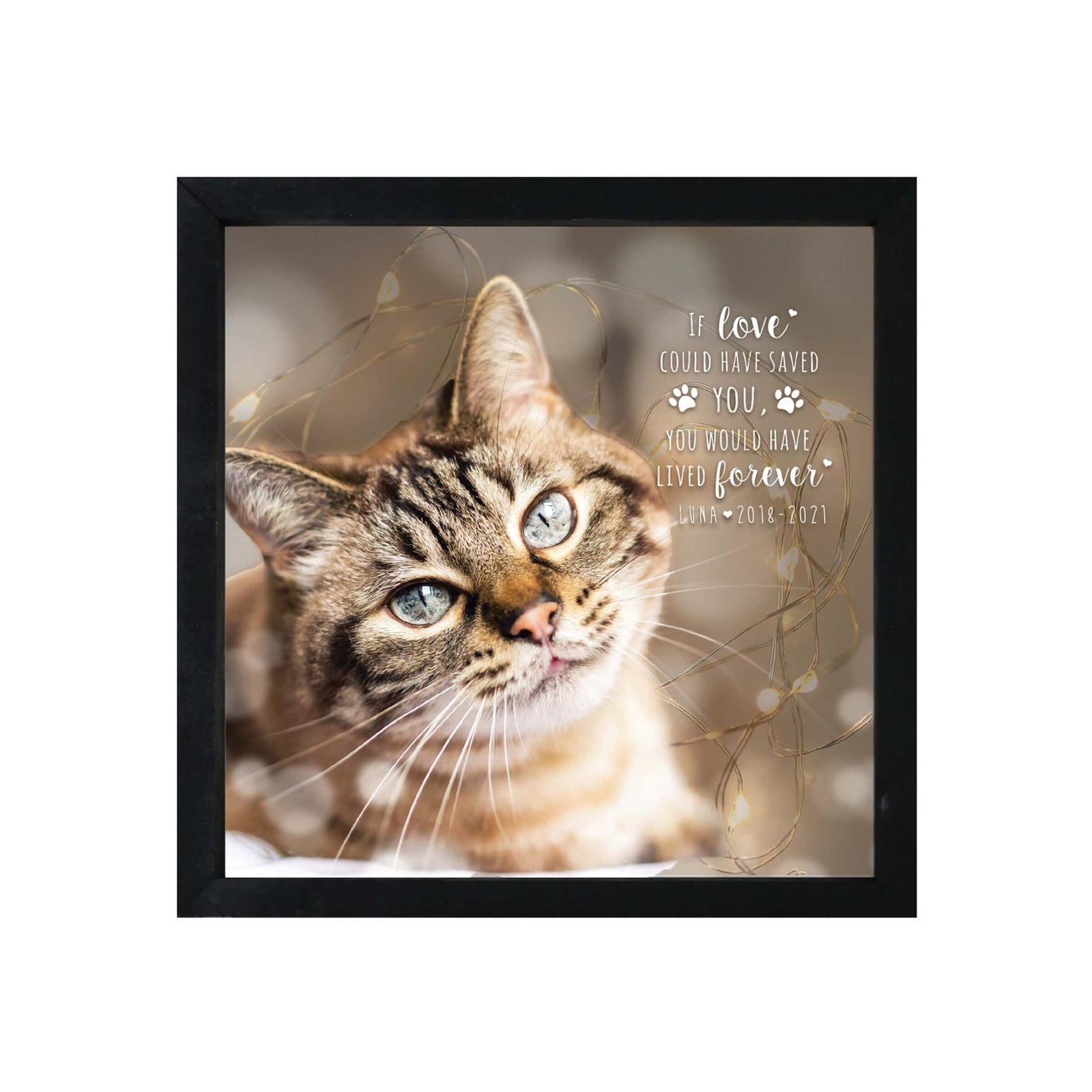 Custom Pet Memorial Framed Shadow Box Wall Décor for the Loss of Beloved Pet - I Love Could Have - LifeSong Milestones