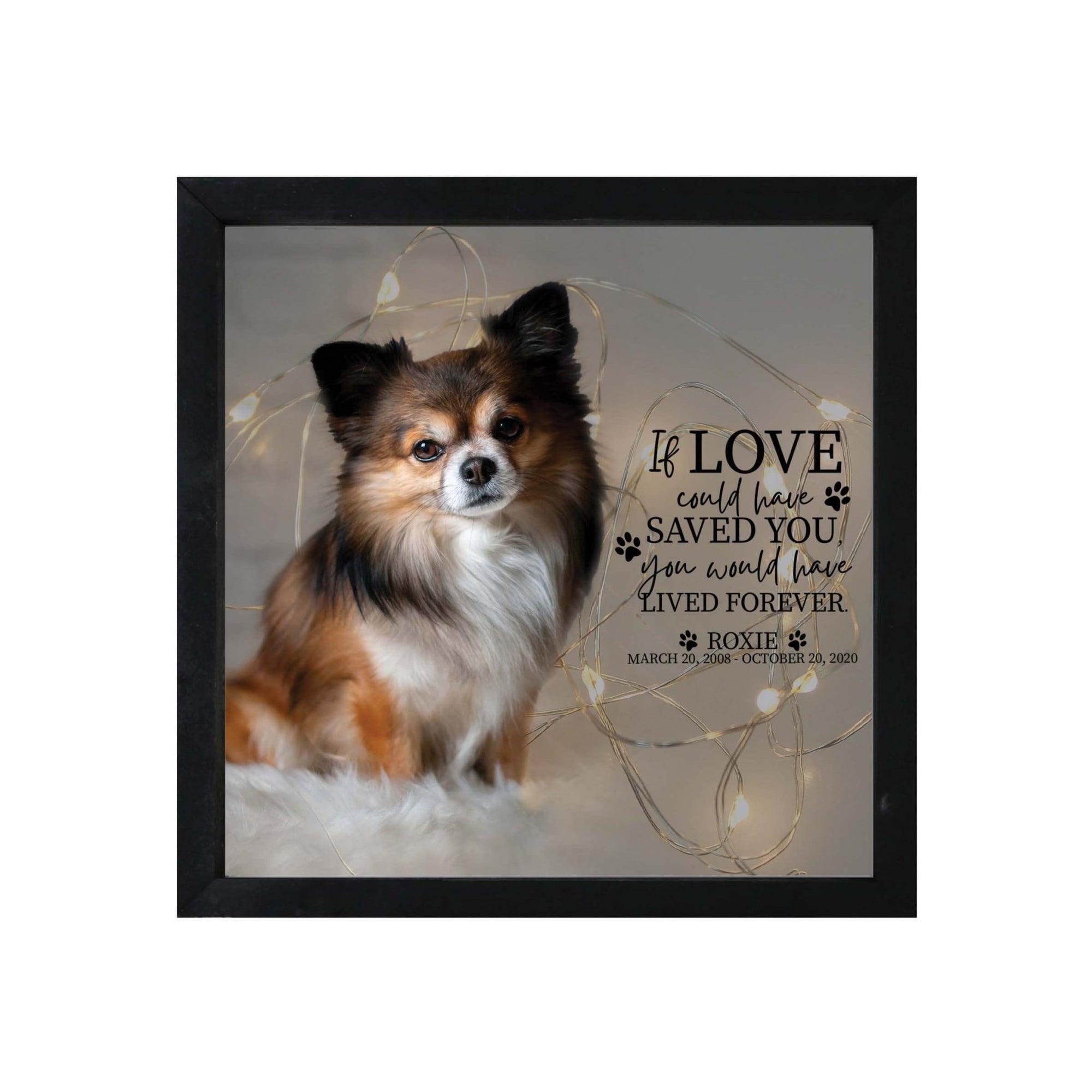 Custom Pet Memorial Framed Shadow Box Wall Décor for the Loss of Beloved Pet - If Love Could Have - LifeSong Milestones