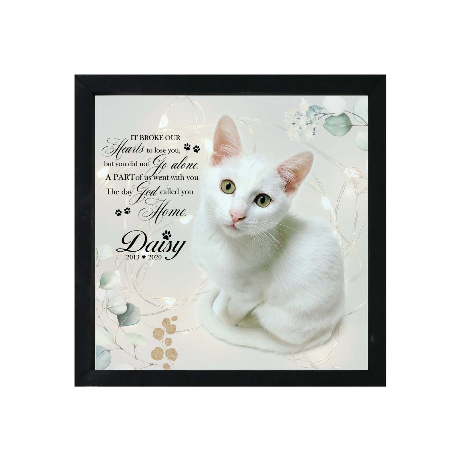 Custom Pet Memorial Framed Shadow Box Wall Décor for the Loss of Beloved Pet - It Broke Our Hearts - LifeSong Milestones