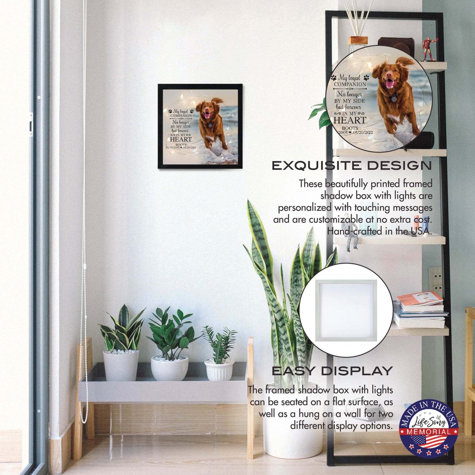 Custom Pet Memorial Framed Shadow Box Wall Décor for the Loss of Beloved Pet - My Loyal Companion - LifeSong Milestones