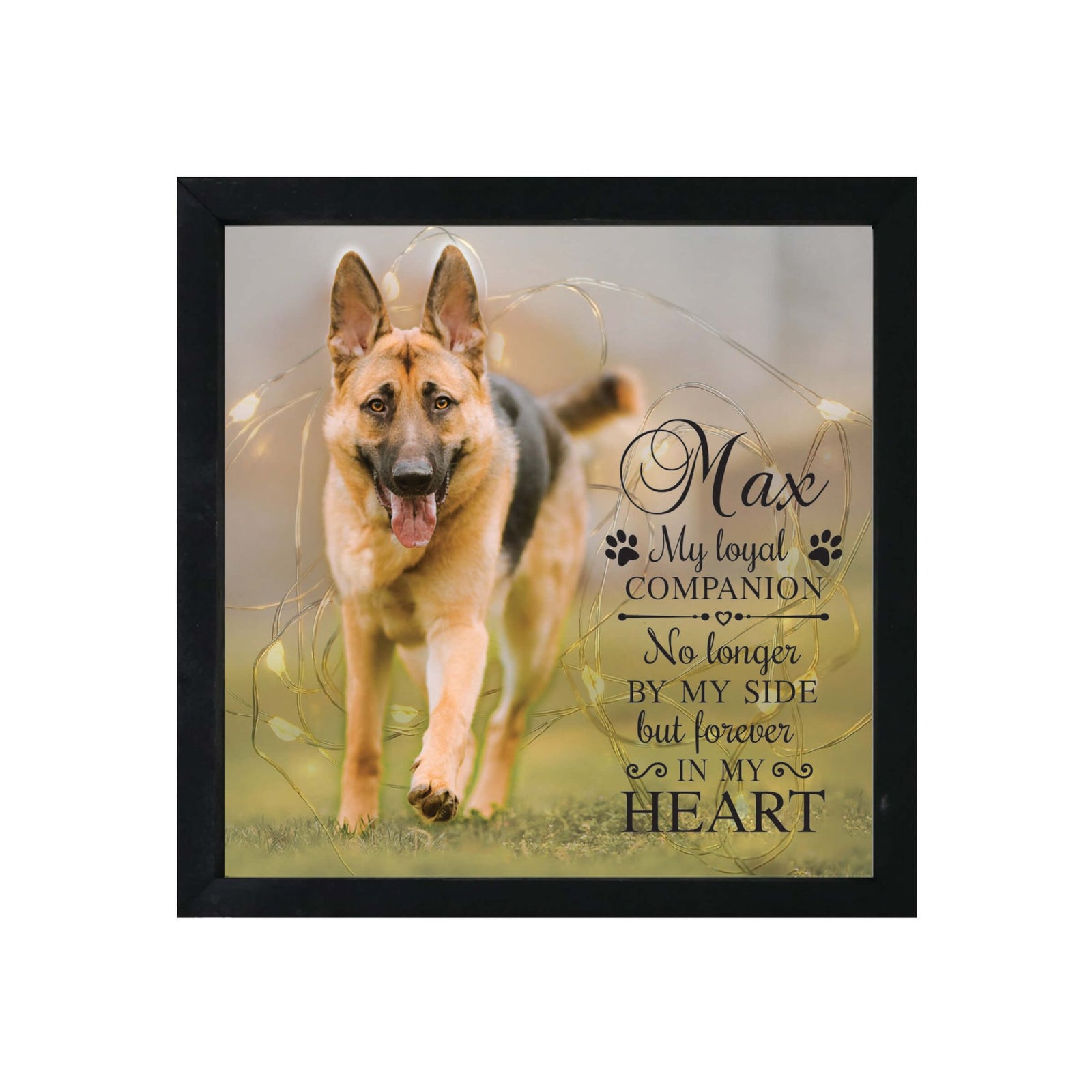 Custom Pet Memorial Framed Shadow Box Wall Décor for the Loss of Beloved Pet - My Loyal Companion - LifeSong Milestones