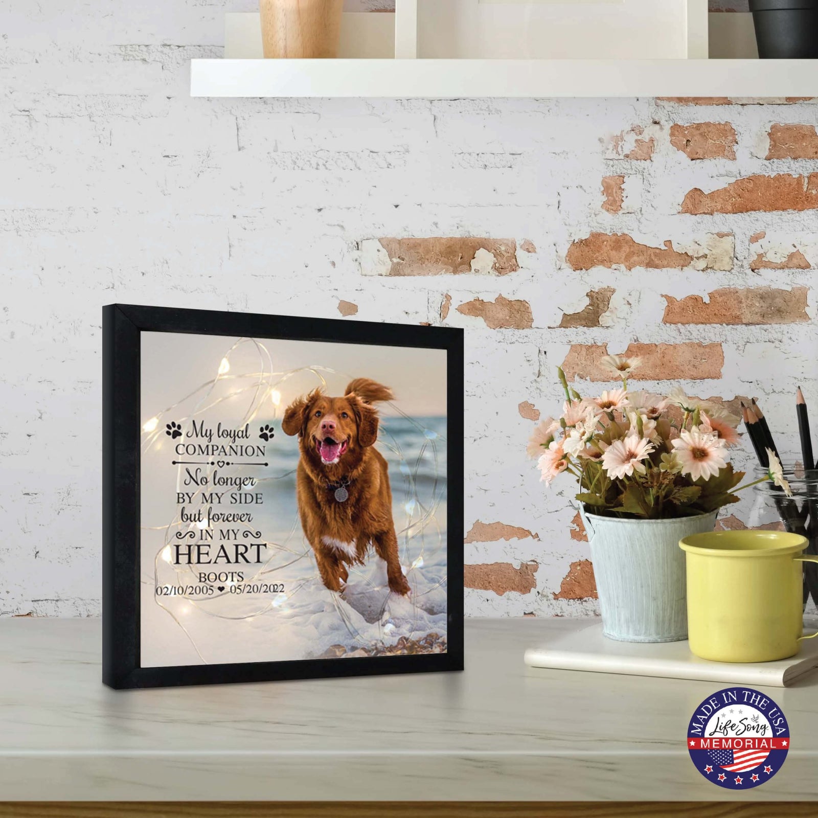 Custom Pet Memorial Framed Shadow Box Wall Décor for the Loss of Beloved Pet - My Loyal Companion - LifeSong Milestones