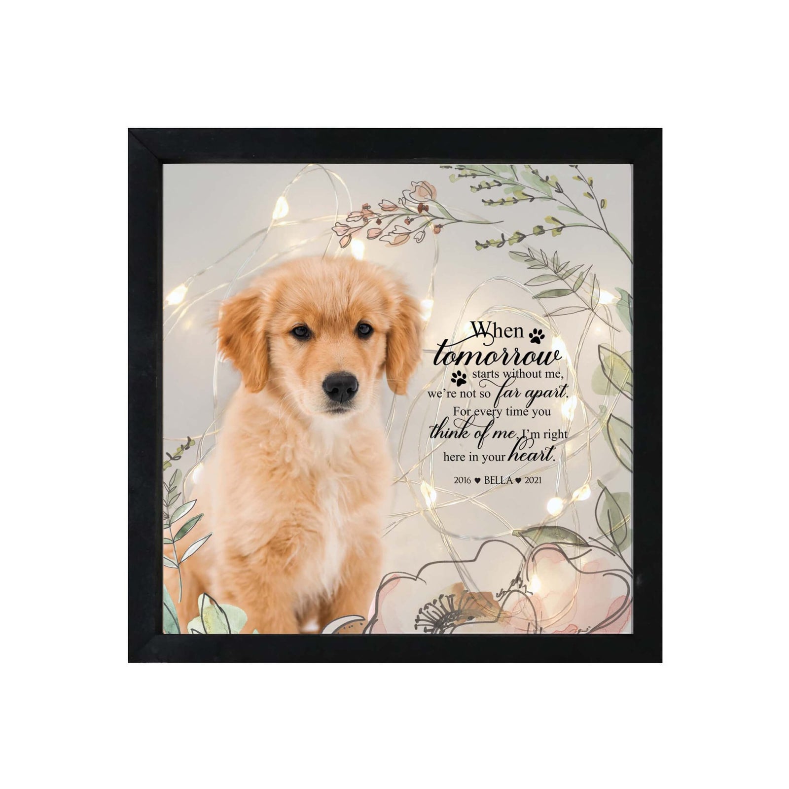 Custom Pet Memorial Framed Shadow Box Wall Décor for the Loss of Beloved Pet - When Tomorrow Starts - LifeSong Milestones