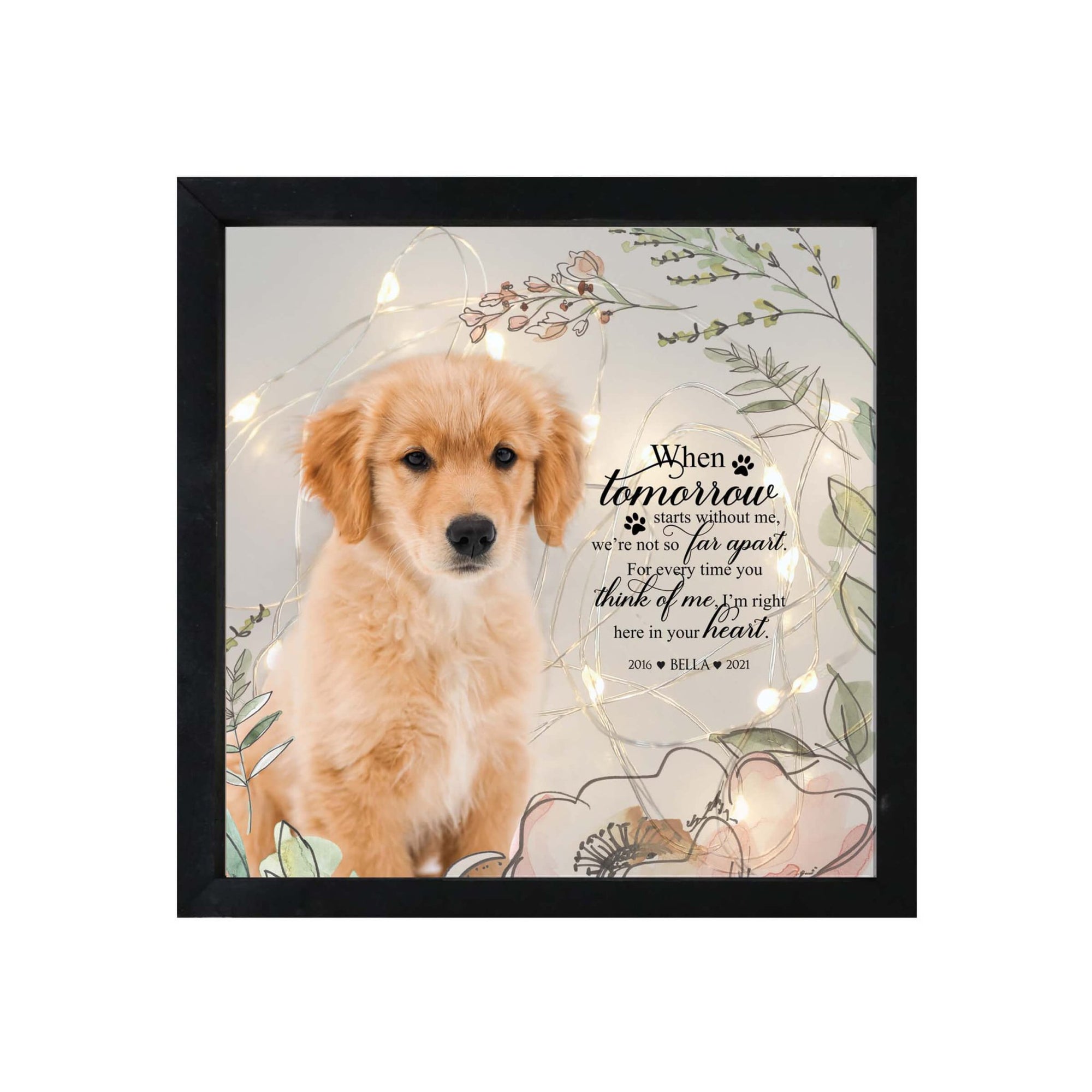 Custom Pet Memorial Framed Shadow Box Wall Décor for the Loss of Beloved Pet - When Tomorrow Starts - LifeSong Milestones
